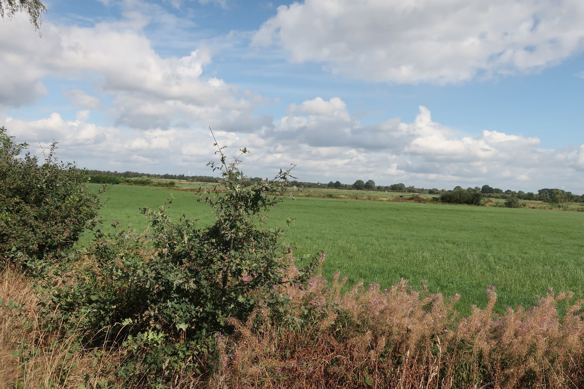 Weites Land