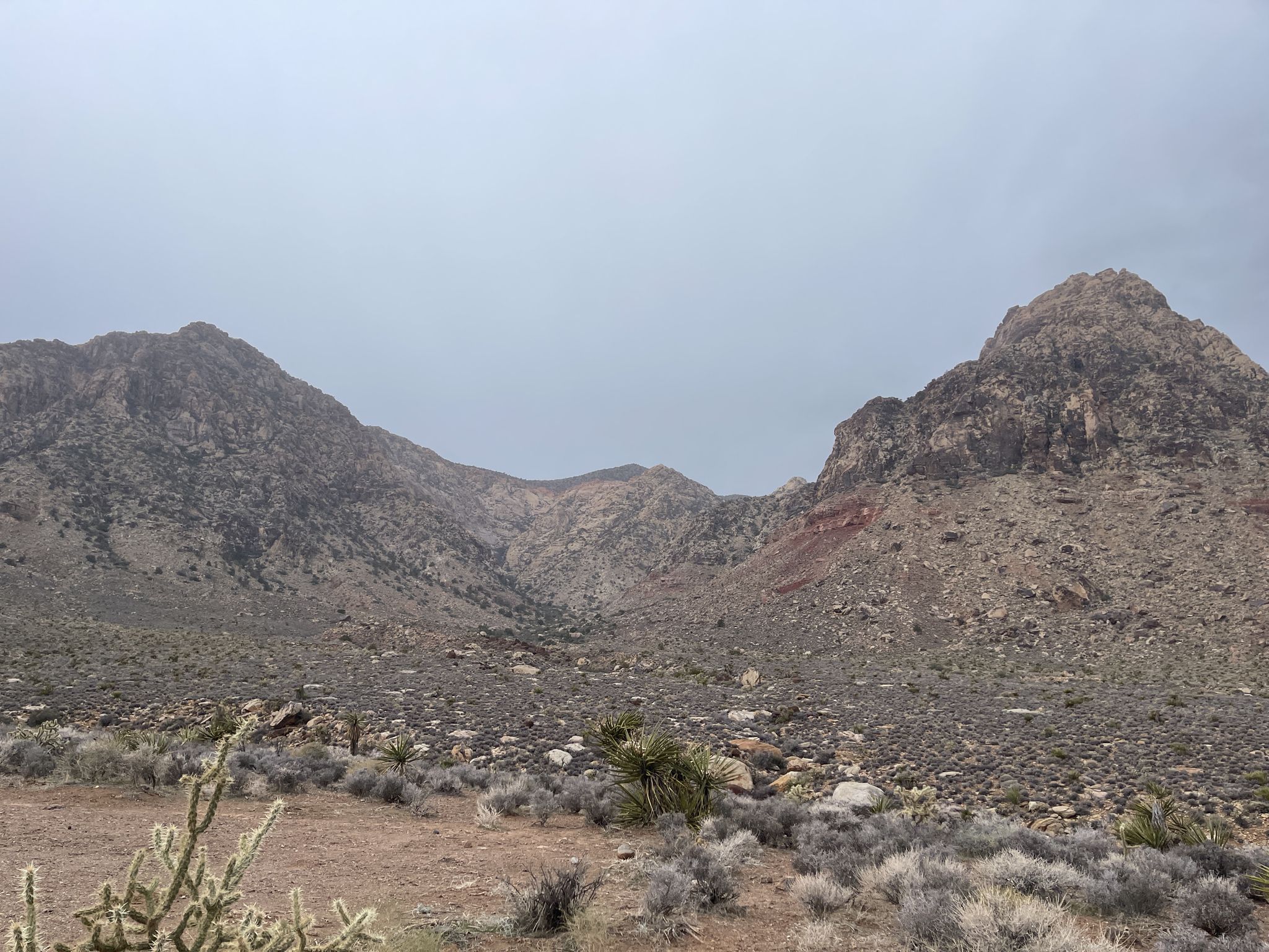 A vast, rocky desert landscape under an overcast sky with sparse vegetation. - Late Night and Black Velvet Road Trail