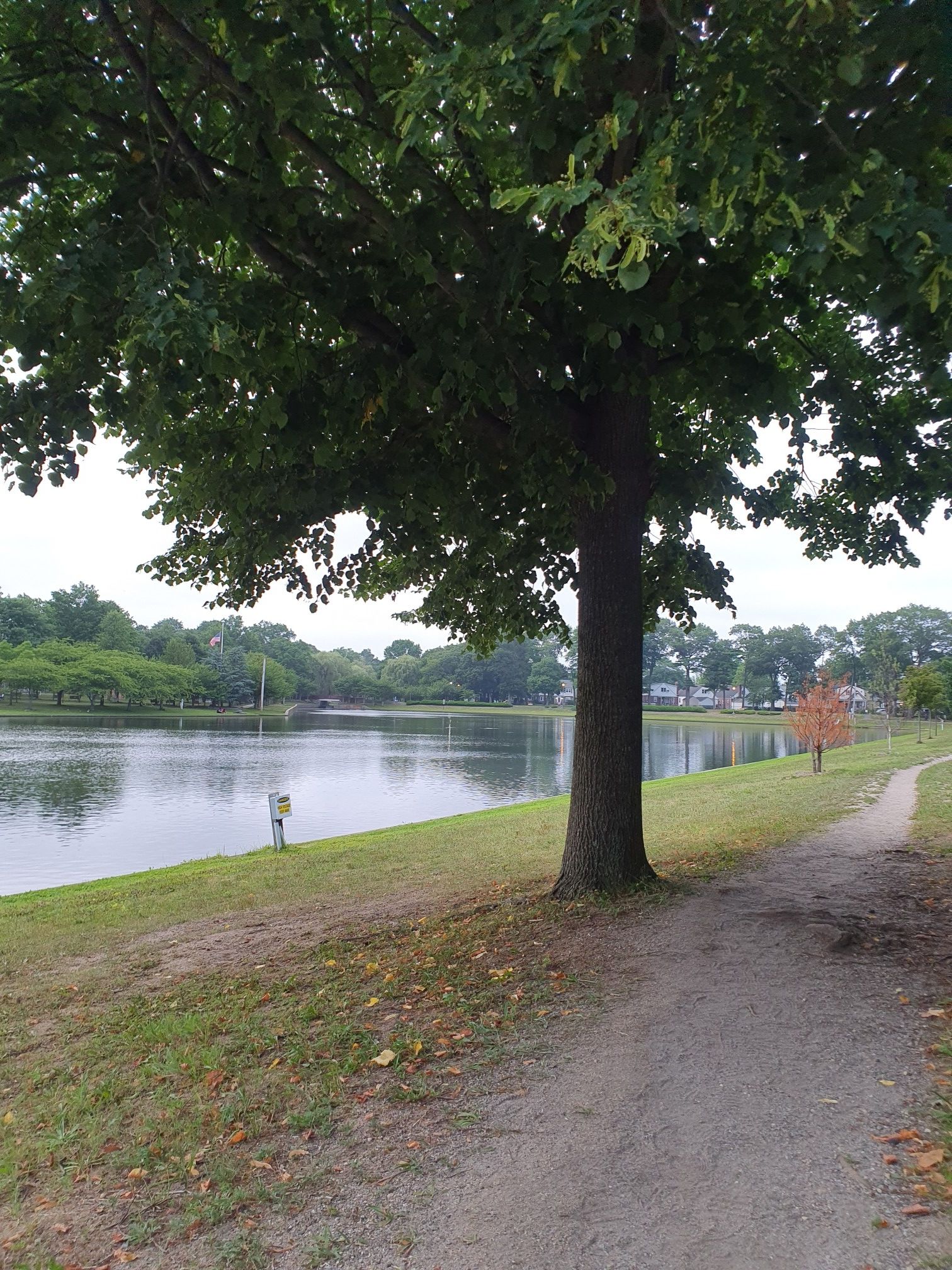 Large tree beside a calm lake with a dirt path on an overcast day. - Hendrickson Park – Valley Stream State Park loop from Valley Stream