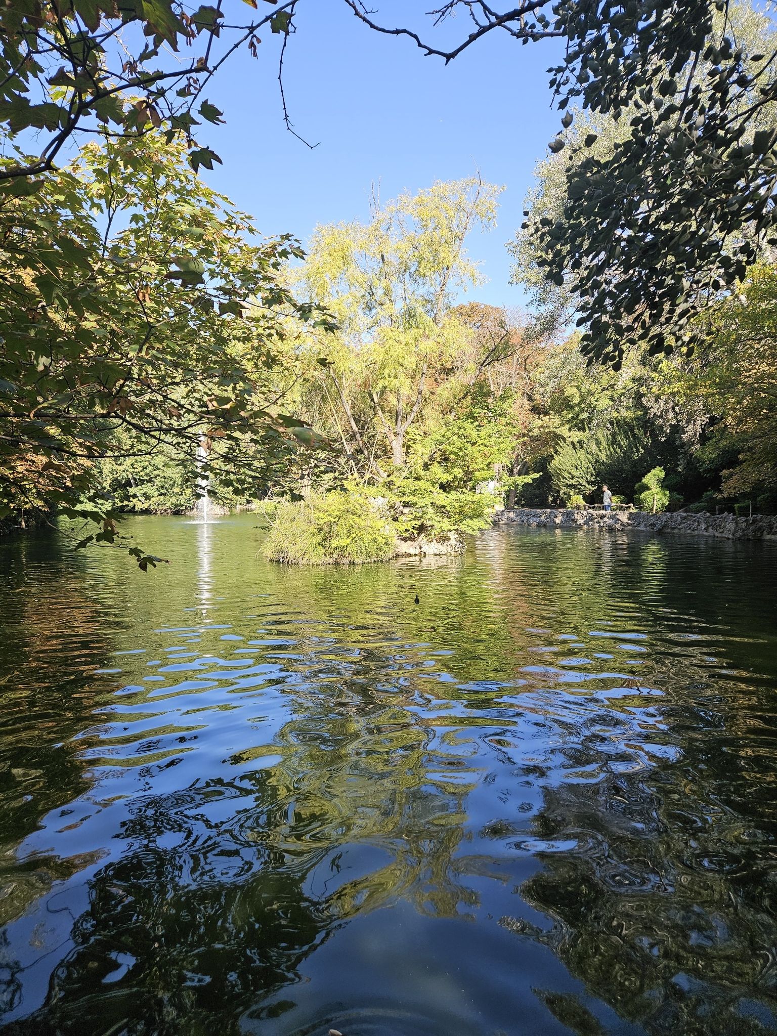 Vikver in stadspark