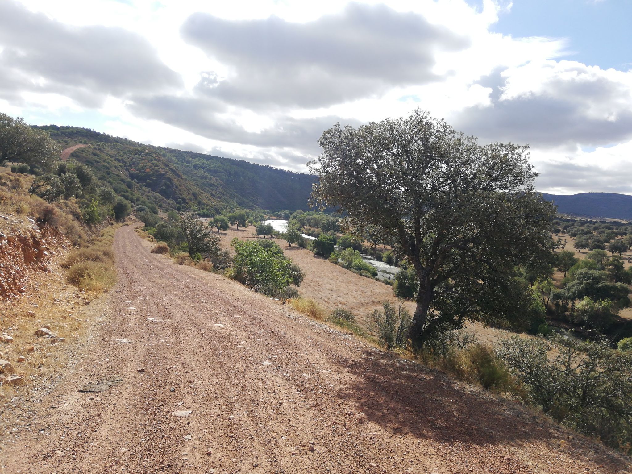 camino del guadiana (luciana)
