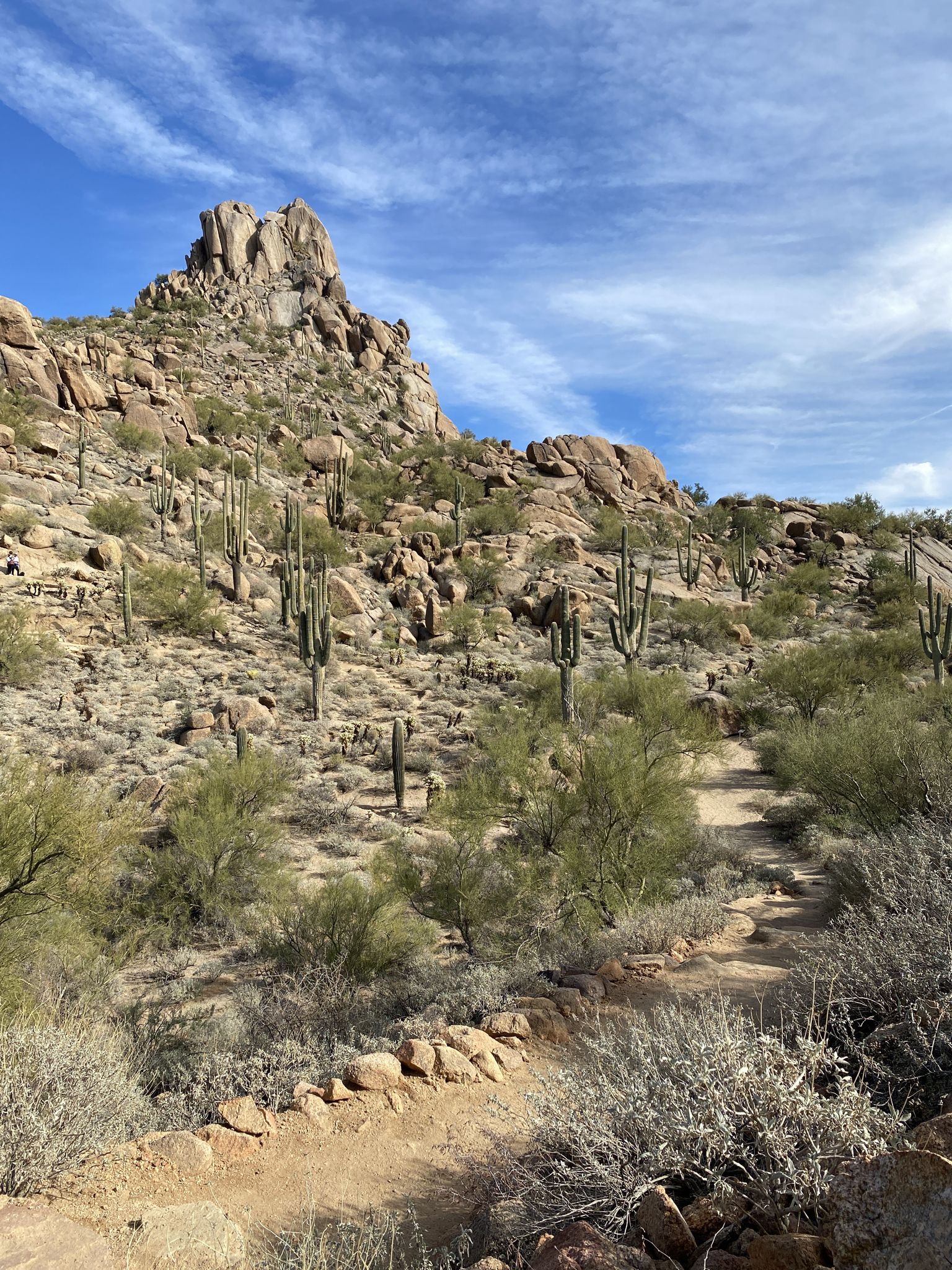 Rocky desert mountain with saguaro cacti and a dirt path under a bright sky. - Pinnacle Peak Trail