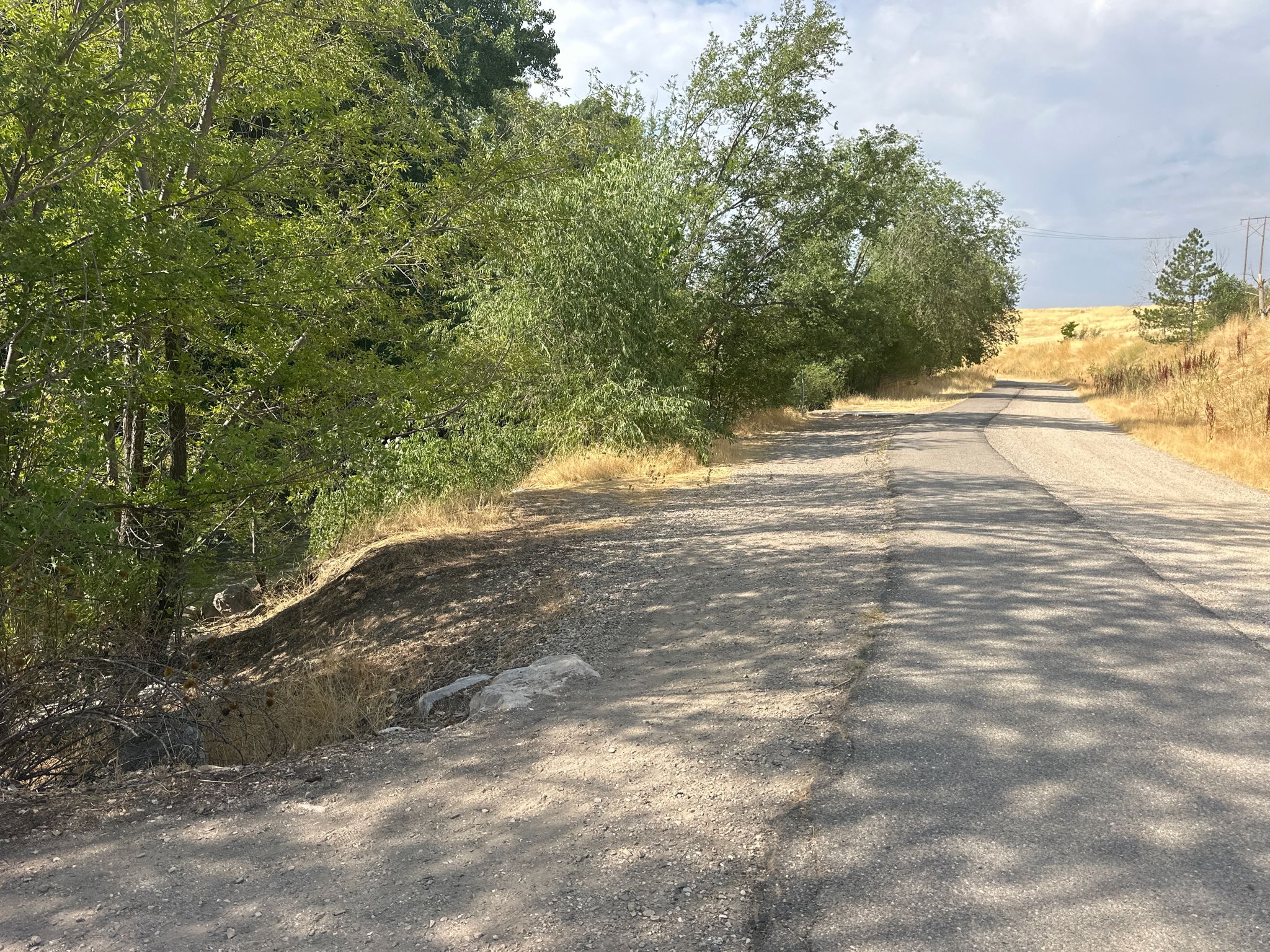 A paved road curves through green trees and dry hills under a bright sky. - Weber River Parkway Trail