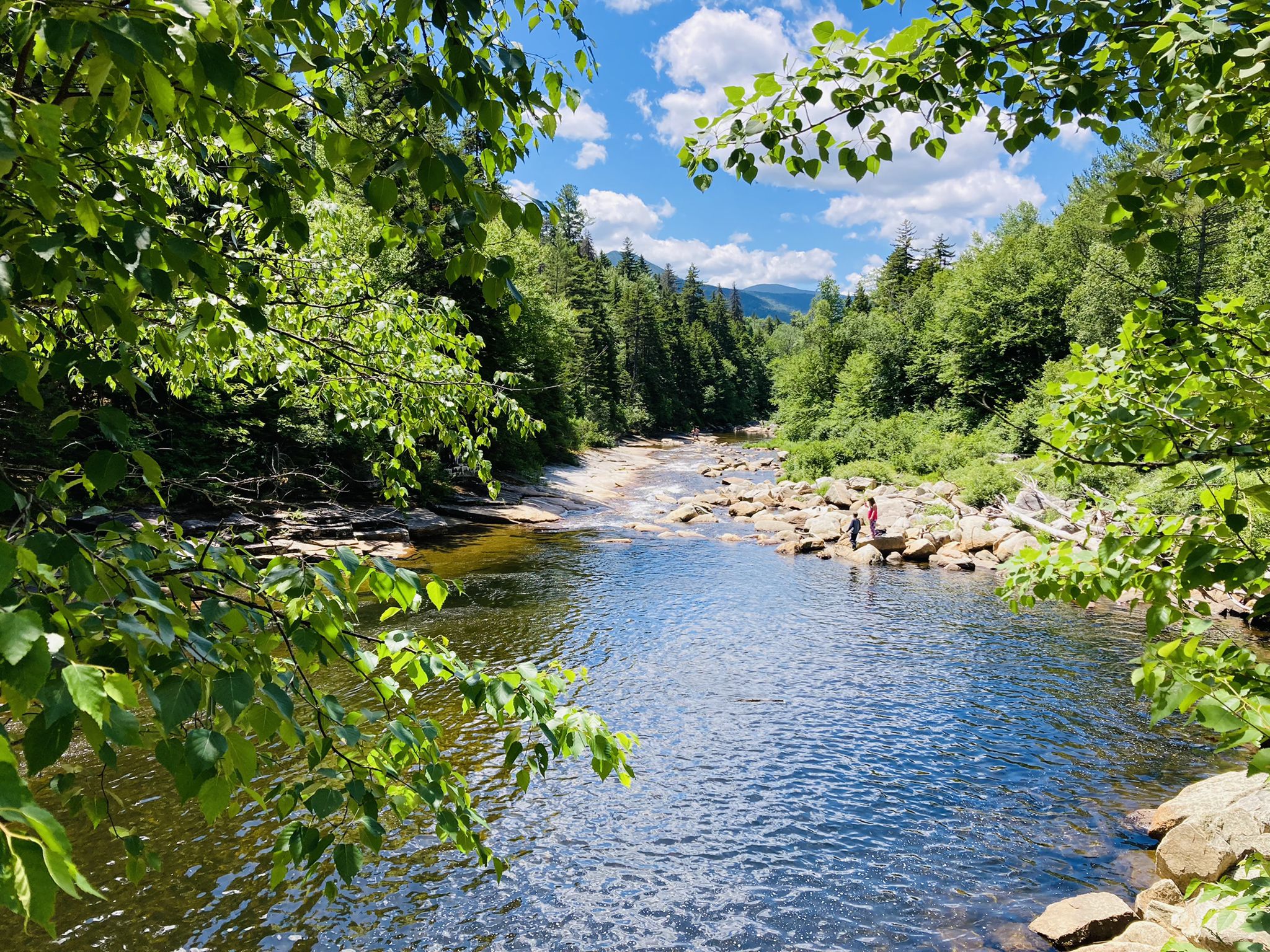 Sunny river scene with a person on rocks, surrounded by lush green forest. - Lower Falls Trail