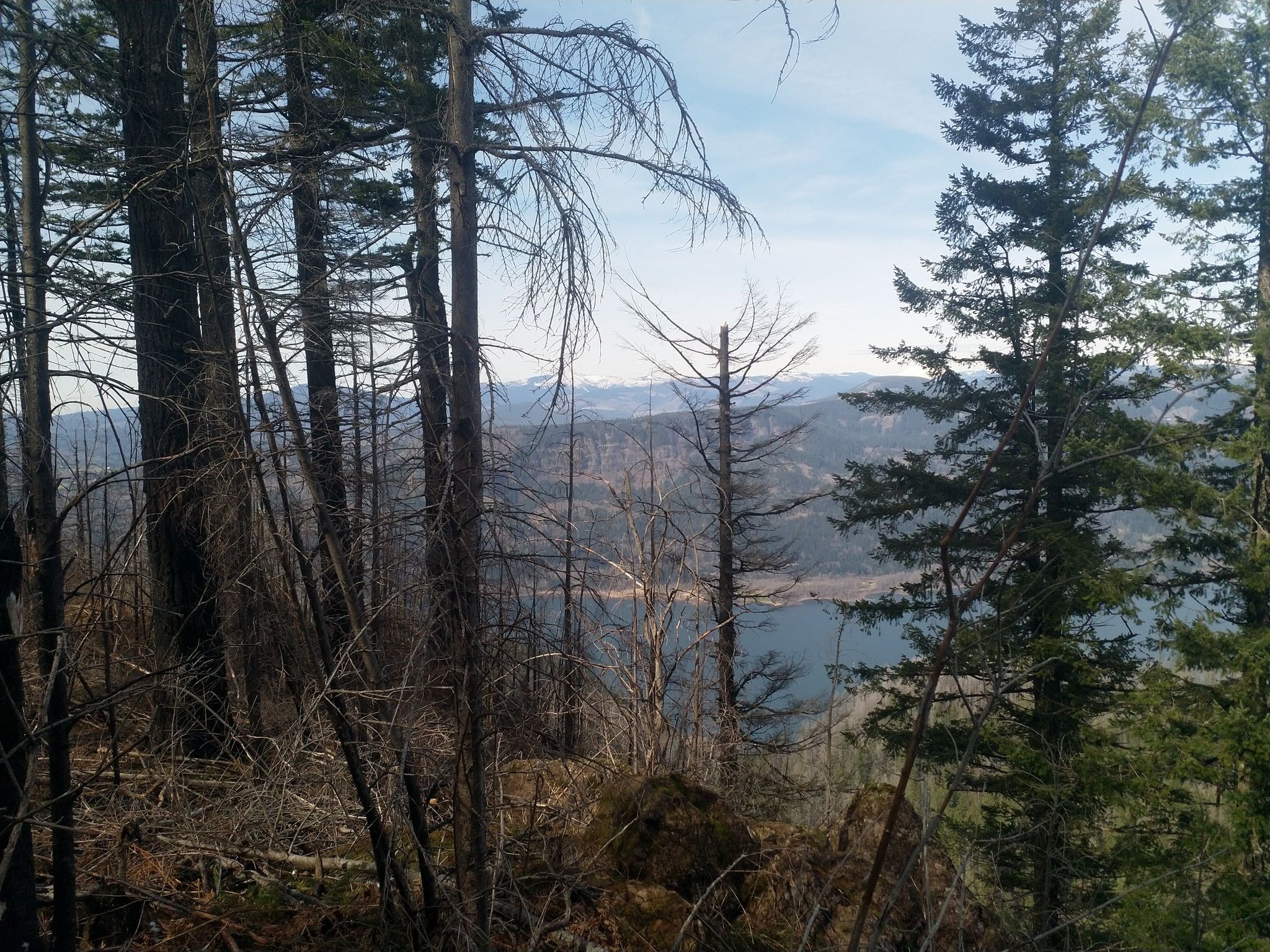 A view through bare trees to a distant river and mountains under a cloudy sky. - Devil's Rest loop from Bridal Veil Falls