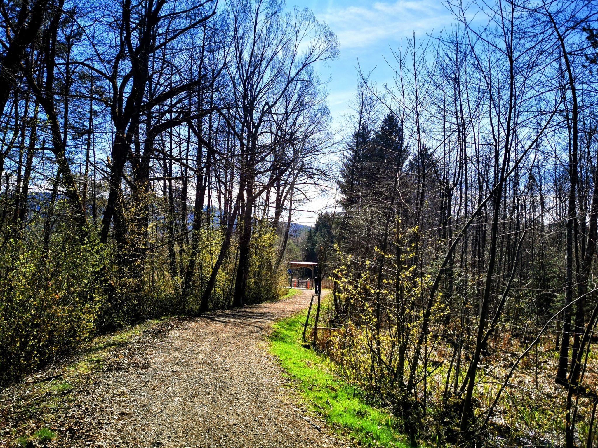 Auf zum Moor