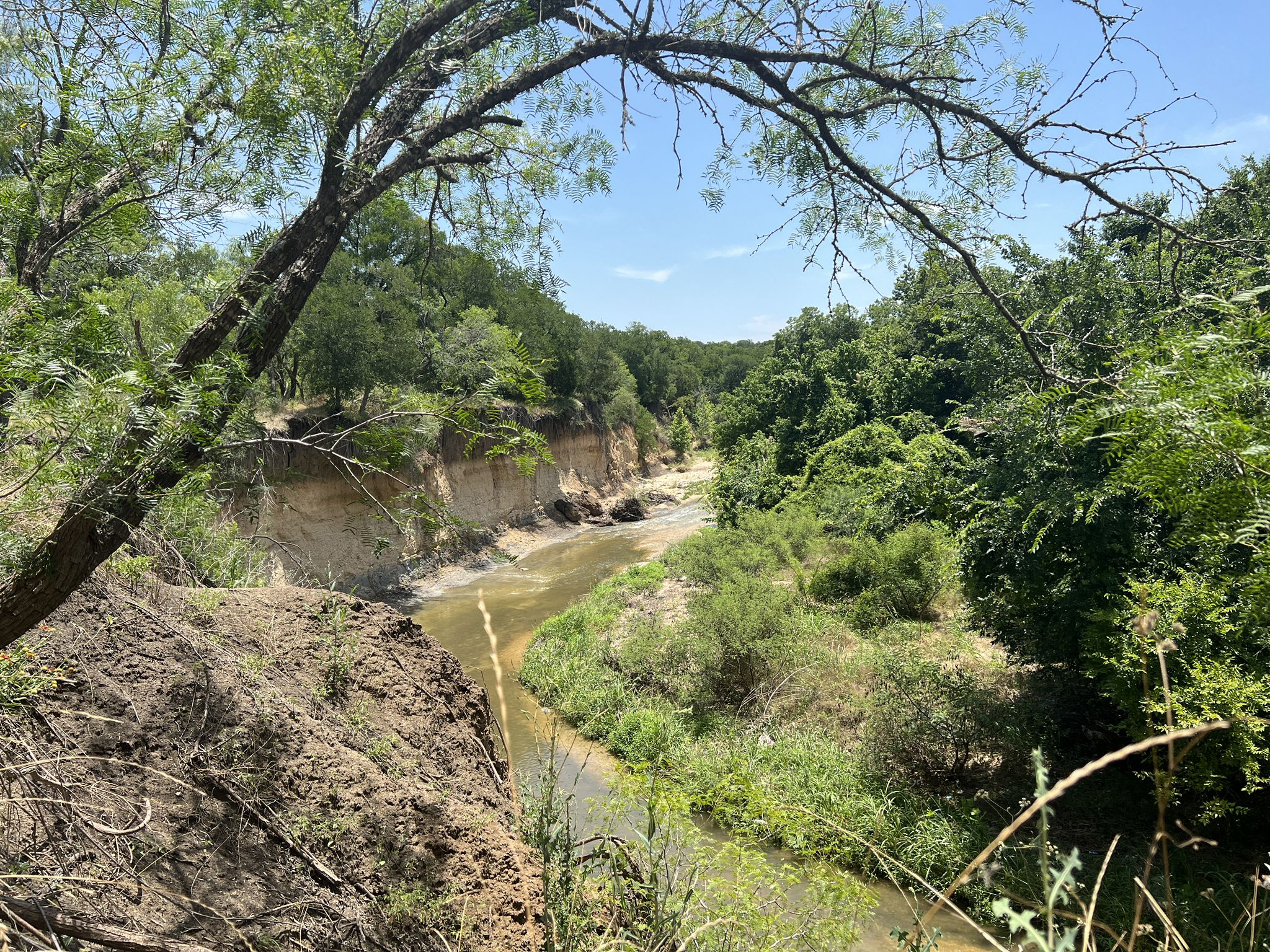 Elevated view of a winding river through a lush, green canyon. - Homestead and Flint Rock Loop
