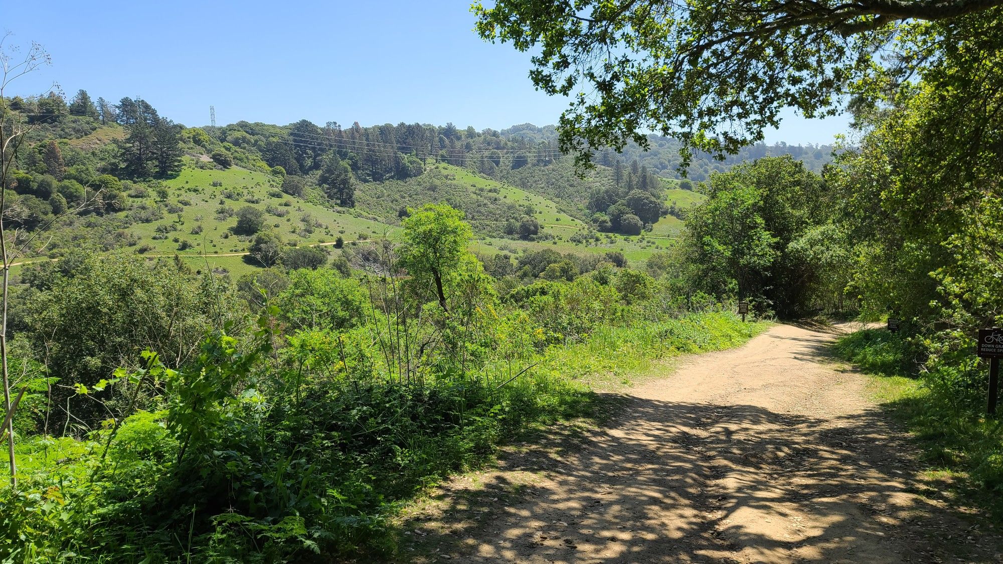 Sunny dirt path overlooking green, rolling hills and dense trees. - Grass Valley, Goldenrod, Horseshoe, and Brandon Trail Loop