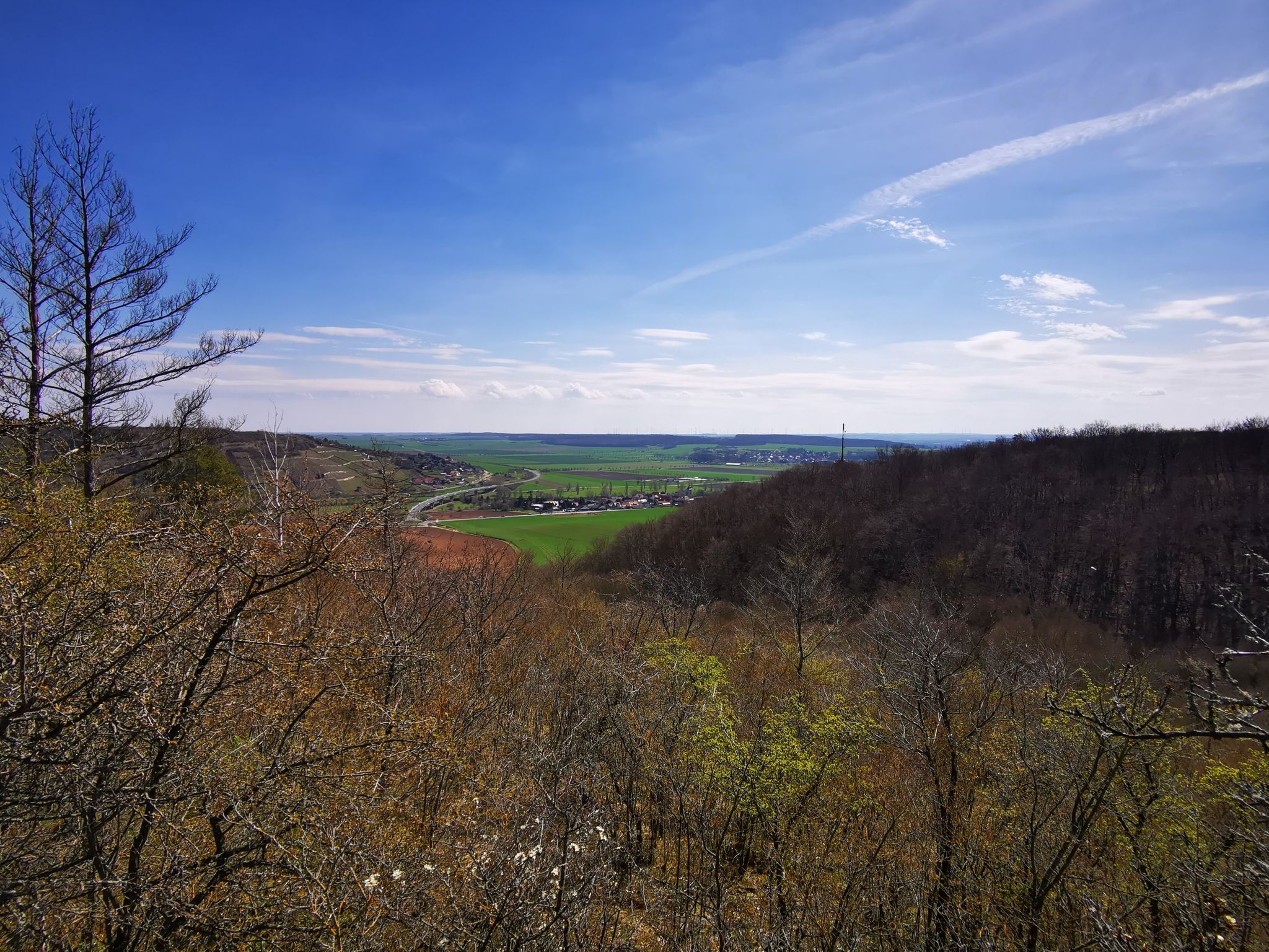 Blick auf die Weinberge von Freyburg