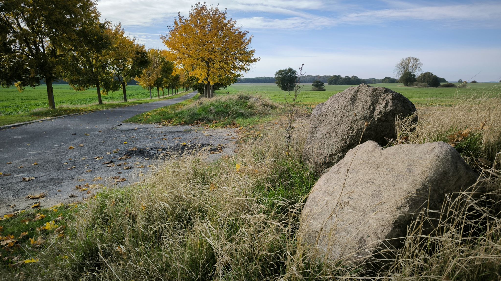 Landstraße nach Schloen