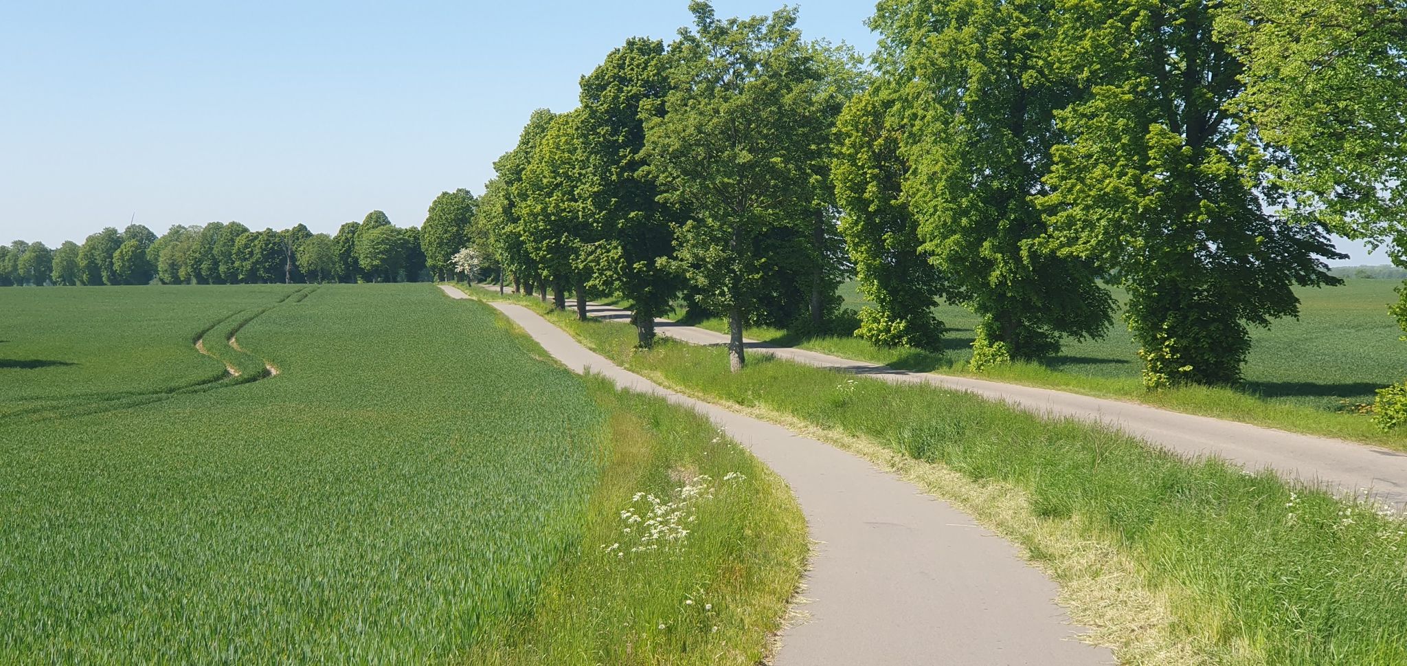 przez 40 parę km do morza aż - minąłem się może z 4 czy 5cioma rowerami z naprzeciwka :)
