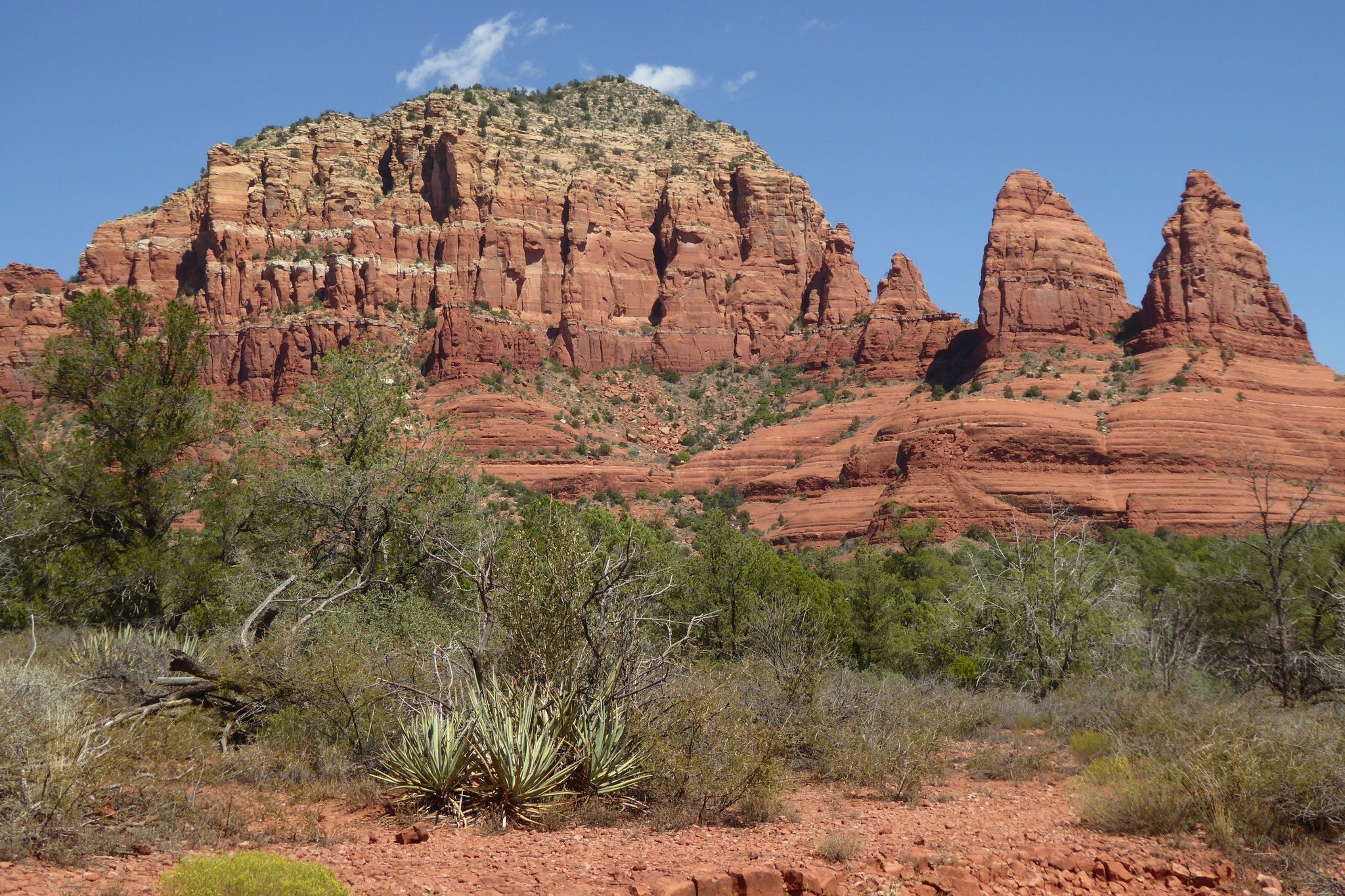 Red rock mountains and spires under a clear blue sky, with desert plants. - Little Horse, Llama, and Bell Rock Pathway Loop