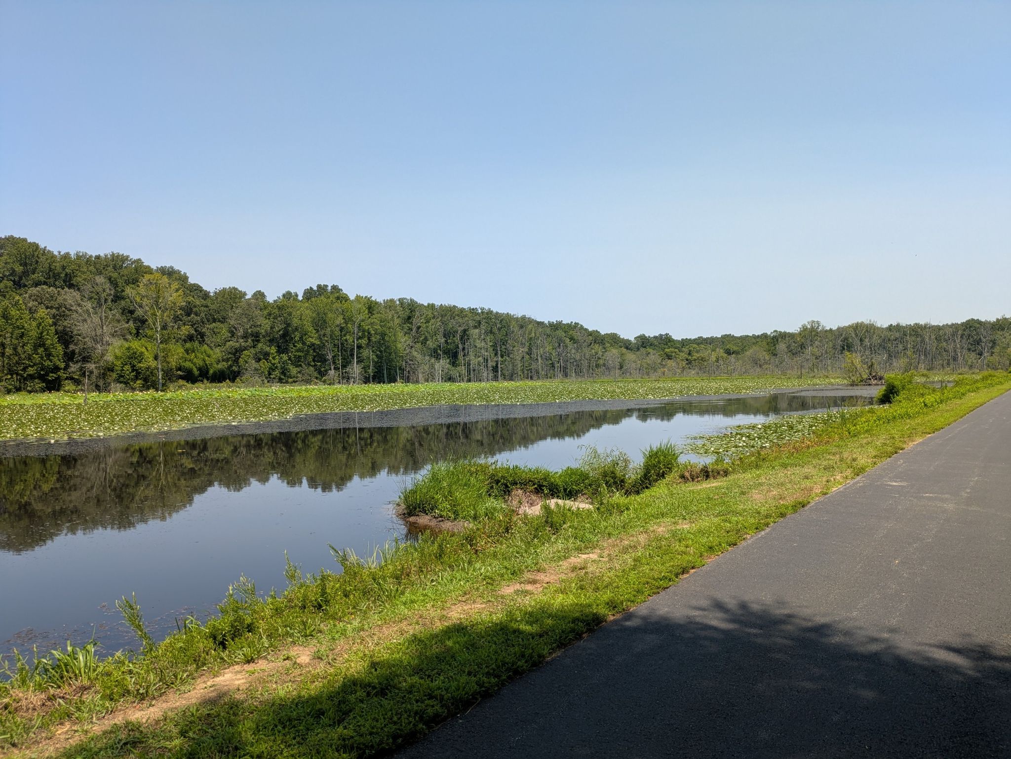 Paved path alongside a calm river with lily pads and green forest. - Indian Head Rail Trail