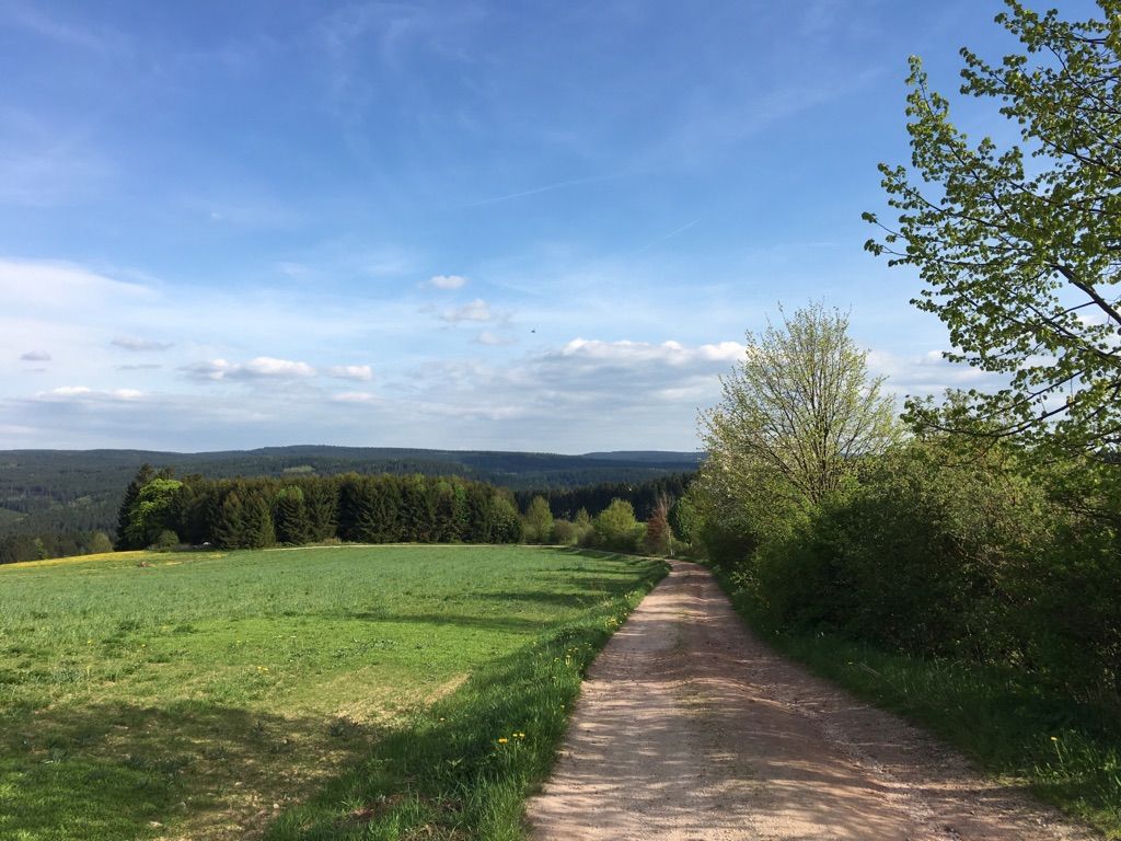 Axwald 