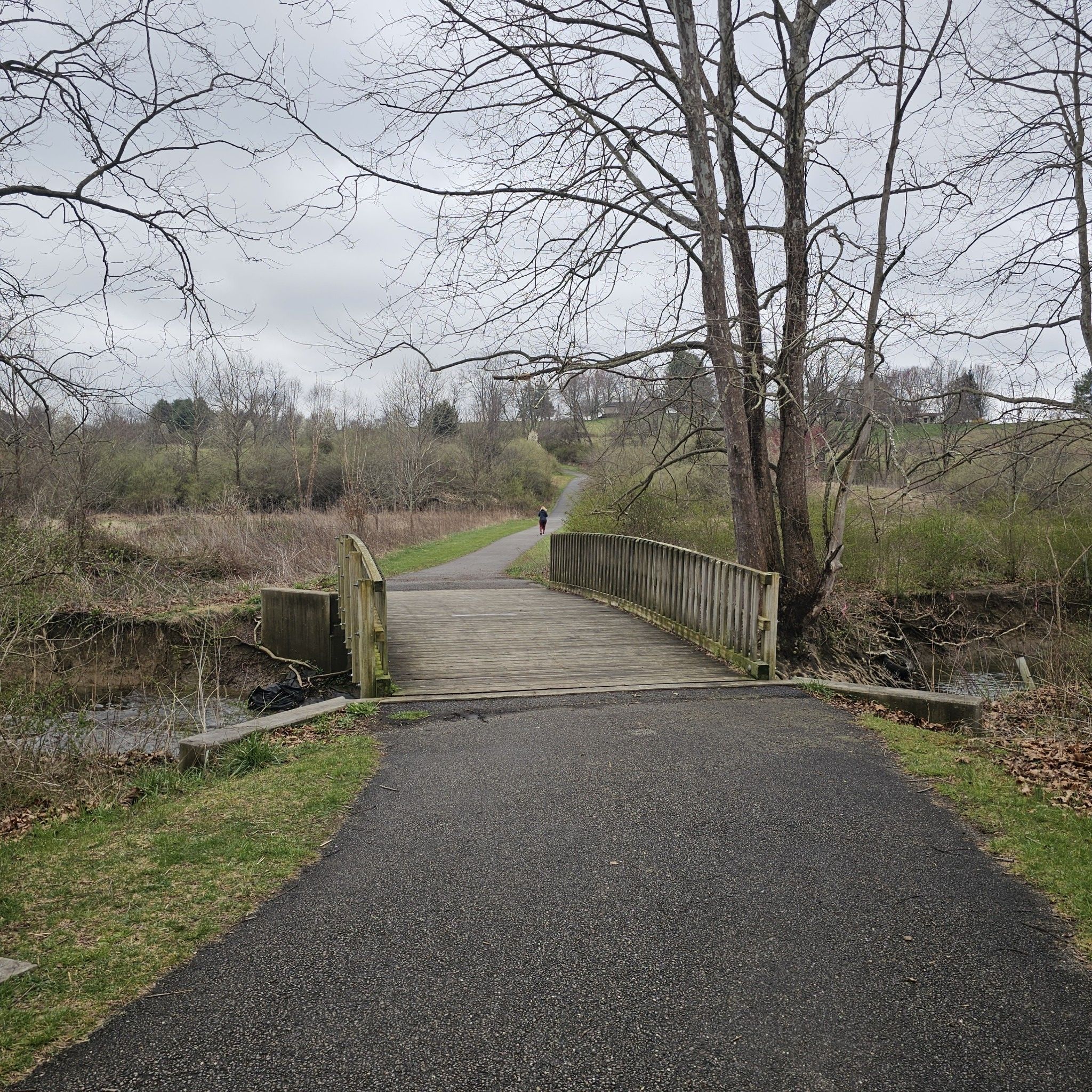 Paved path leading to a wooden bridge, bare trees, cloudy sky. - Huckleberry and Heritage Park Trail