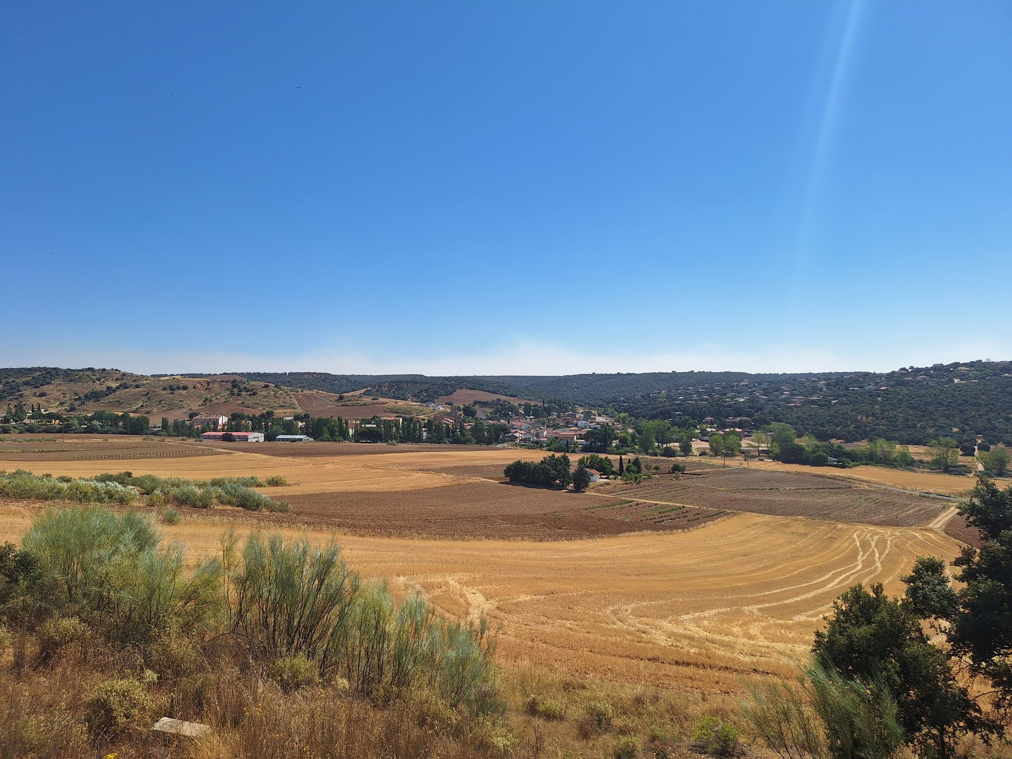Mesones