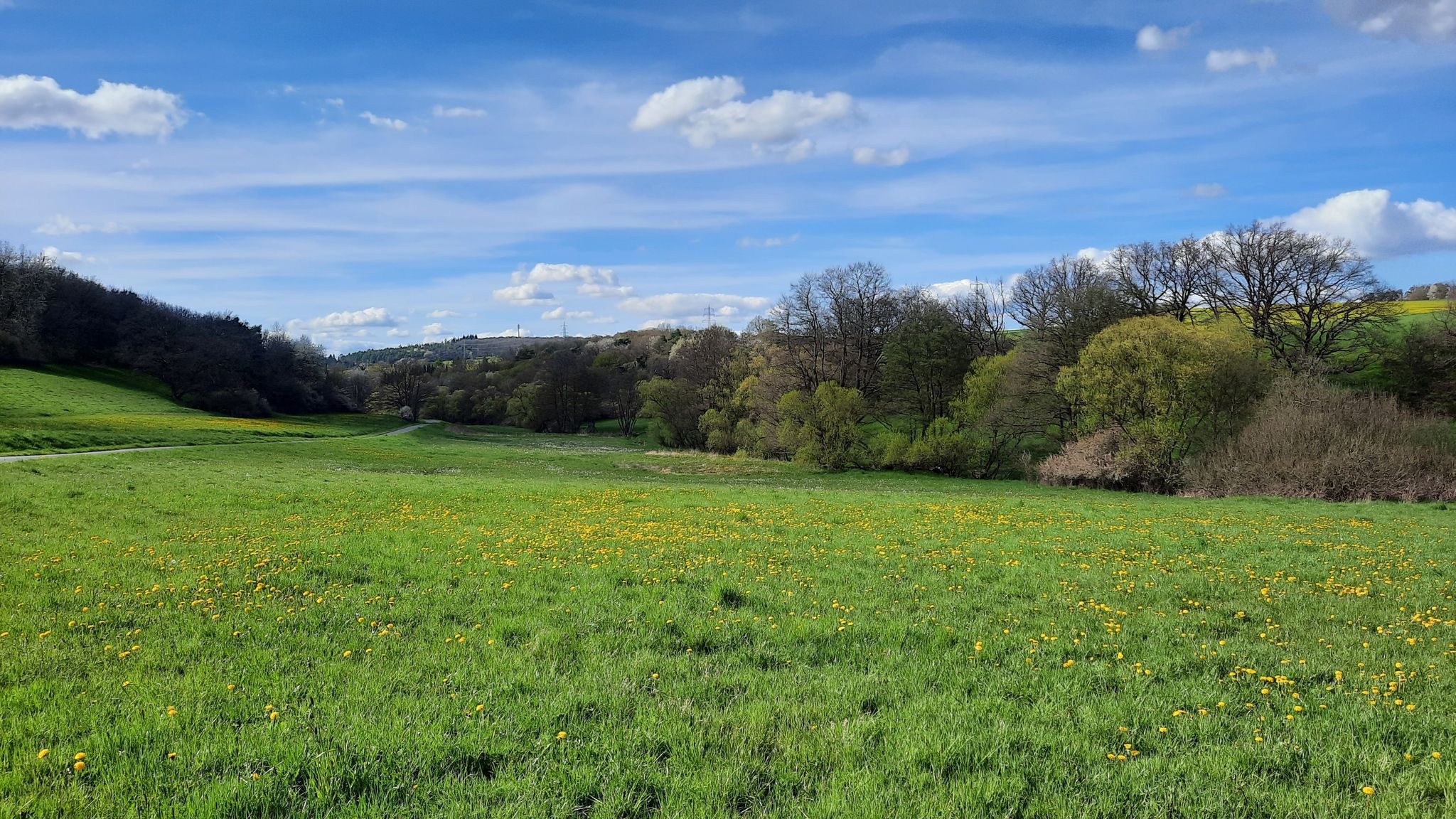 Laubachwiese