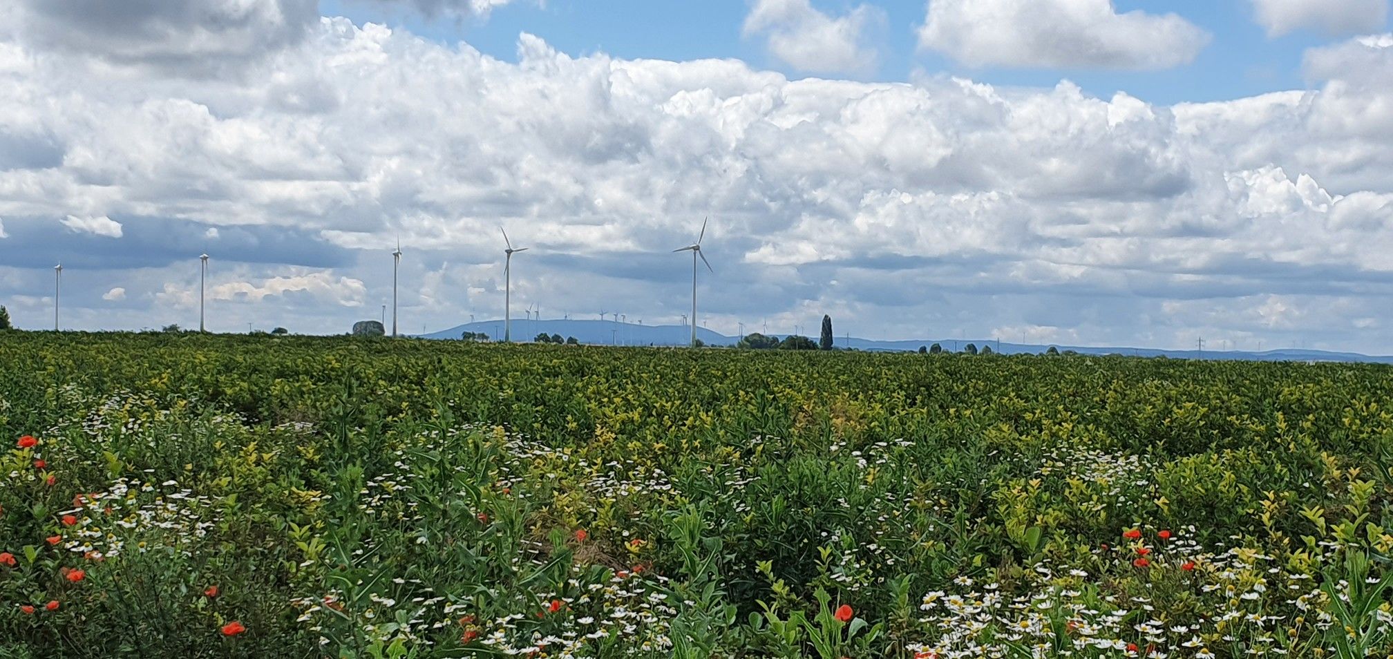 Blick zum Donnersbeg