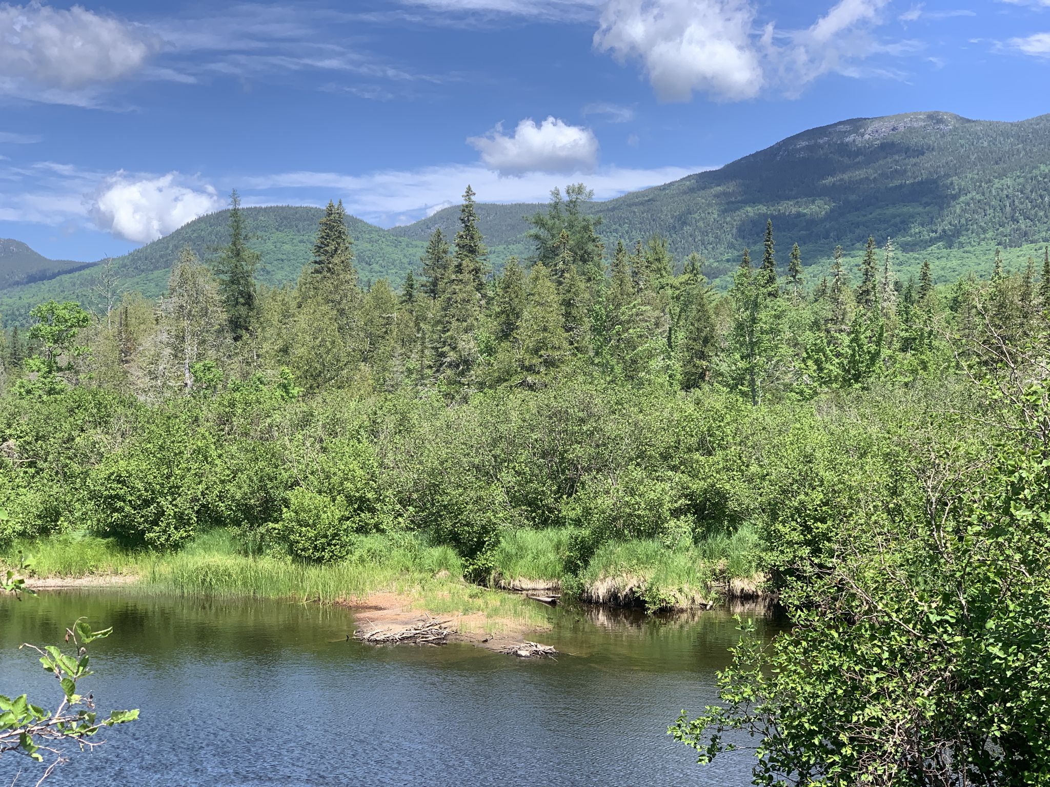 Dark water surrounded by dense green bushes and forested mountains under blue sky. - Stratton Brook Pond – Mount Bigelow loop from Wyman Township Public Reserved Land