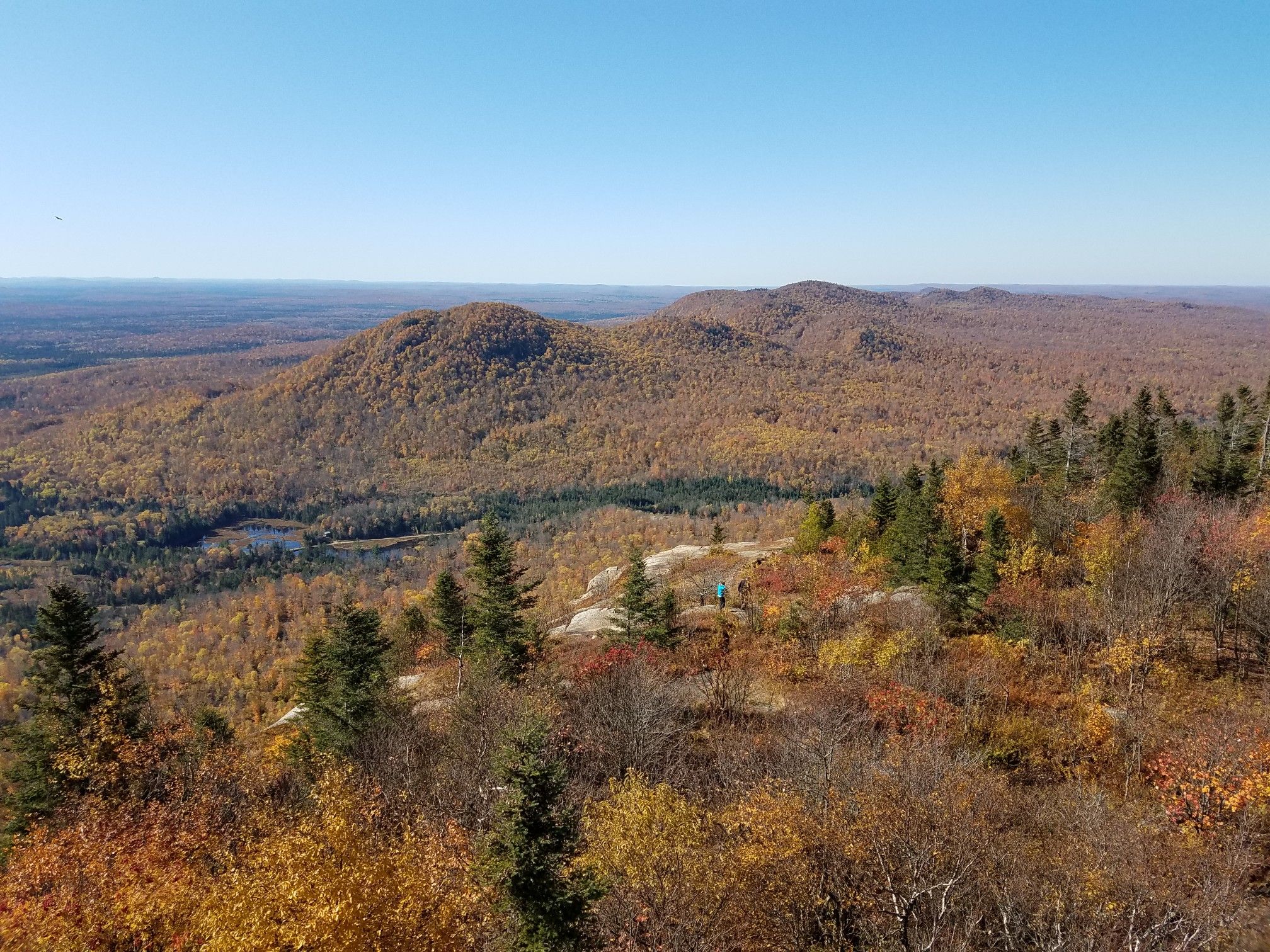 Expansive autumn forest landscape with rolling hills under a clear sky. - Azure Mountain Trail