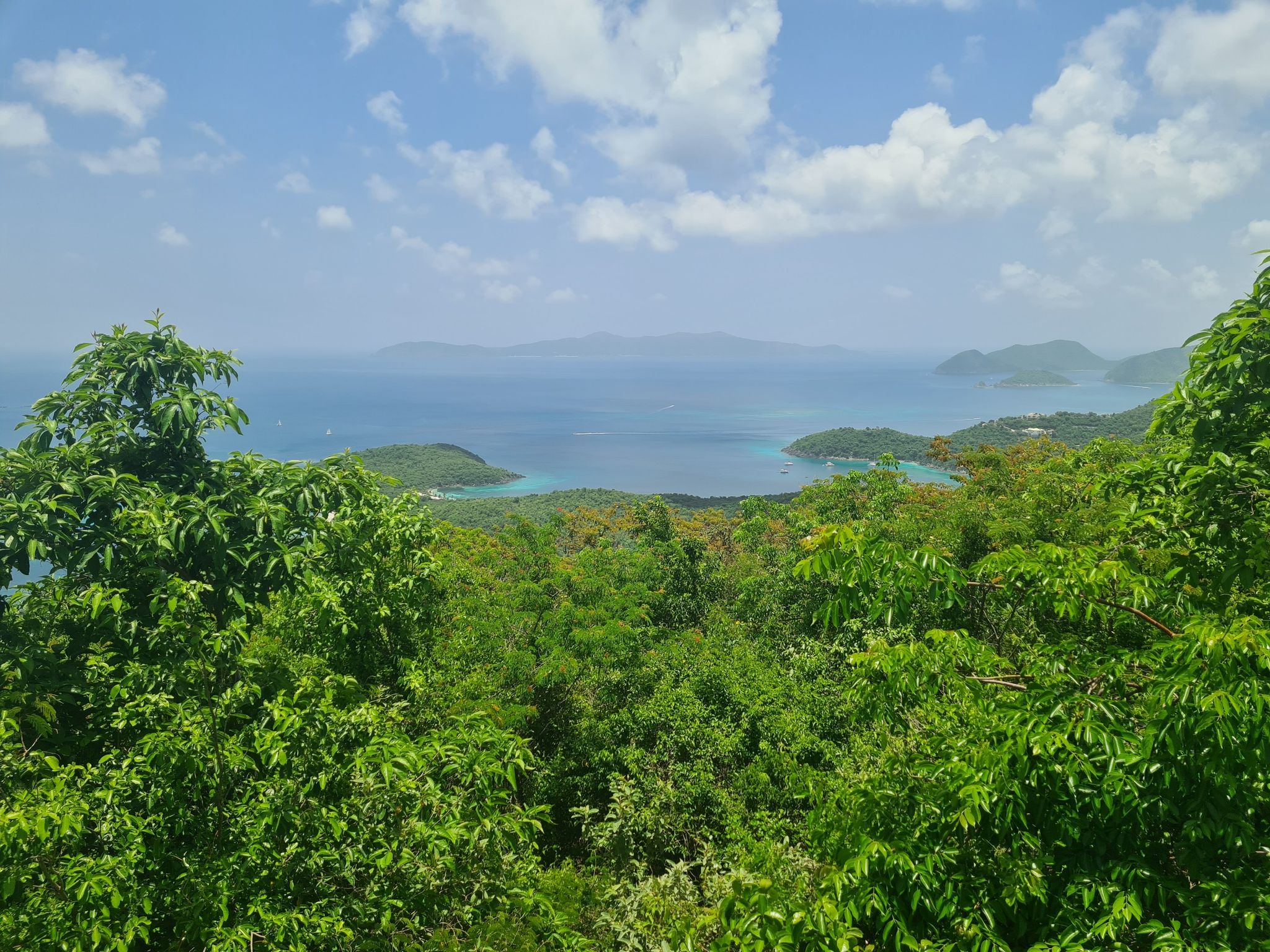 Dense green treetops frame a calm blue ocean and hazy distant land. - Caneel Hill Trail