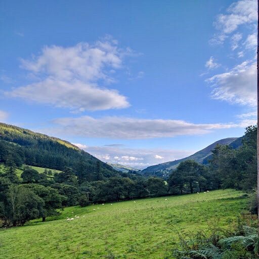View from the B&B