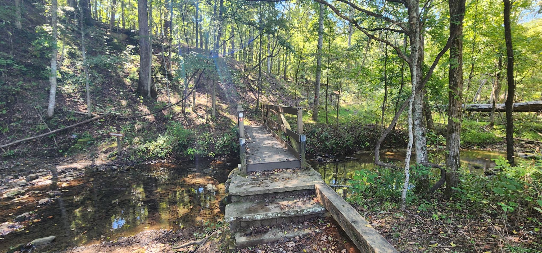 A wooden footbridge crosses a small stream in a lush green forest. - Ore Pit Loop Trail