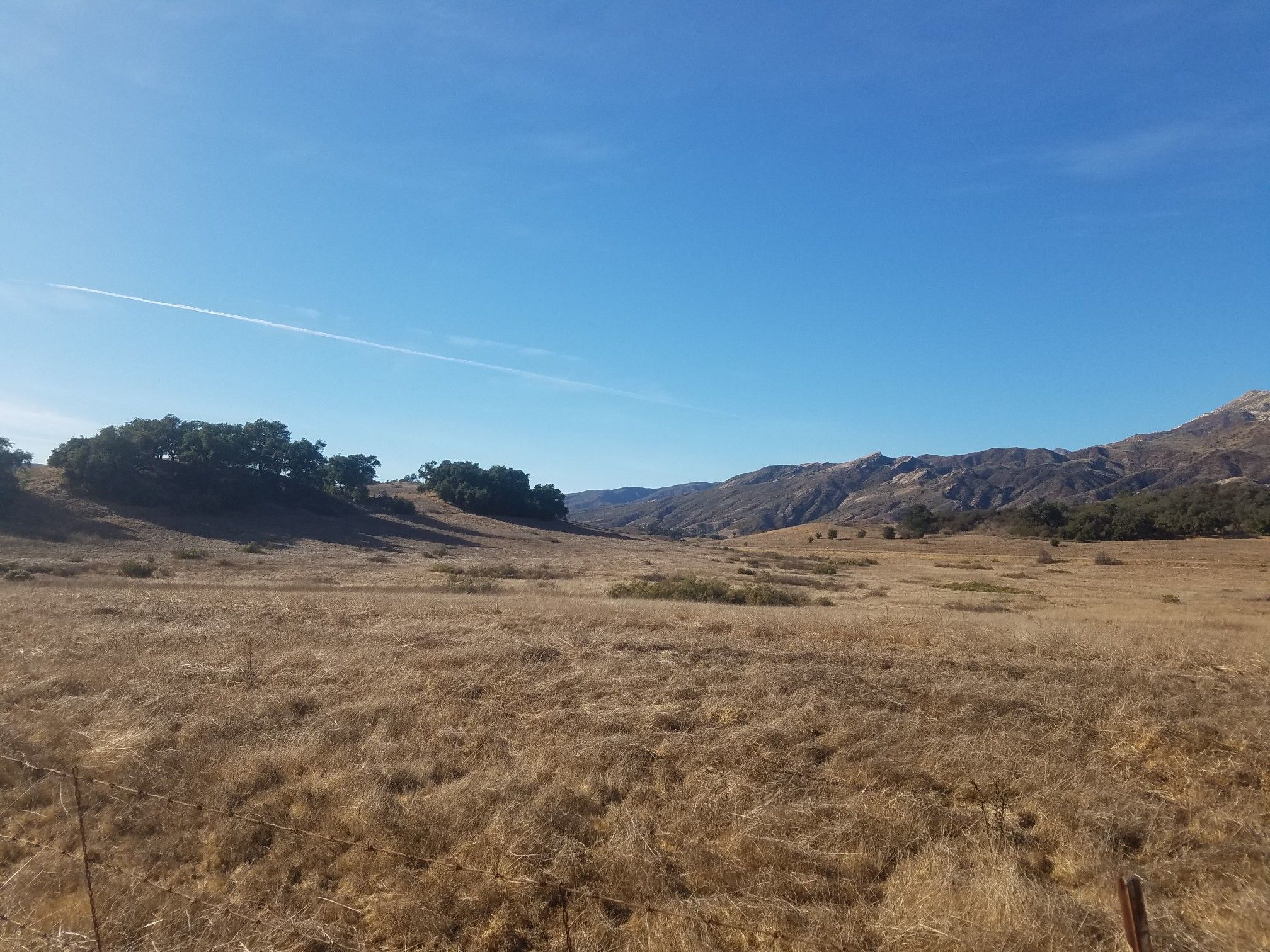 Expansive dry grassy field under a clear blue sky with distant mountains. - Baldwin Road loop