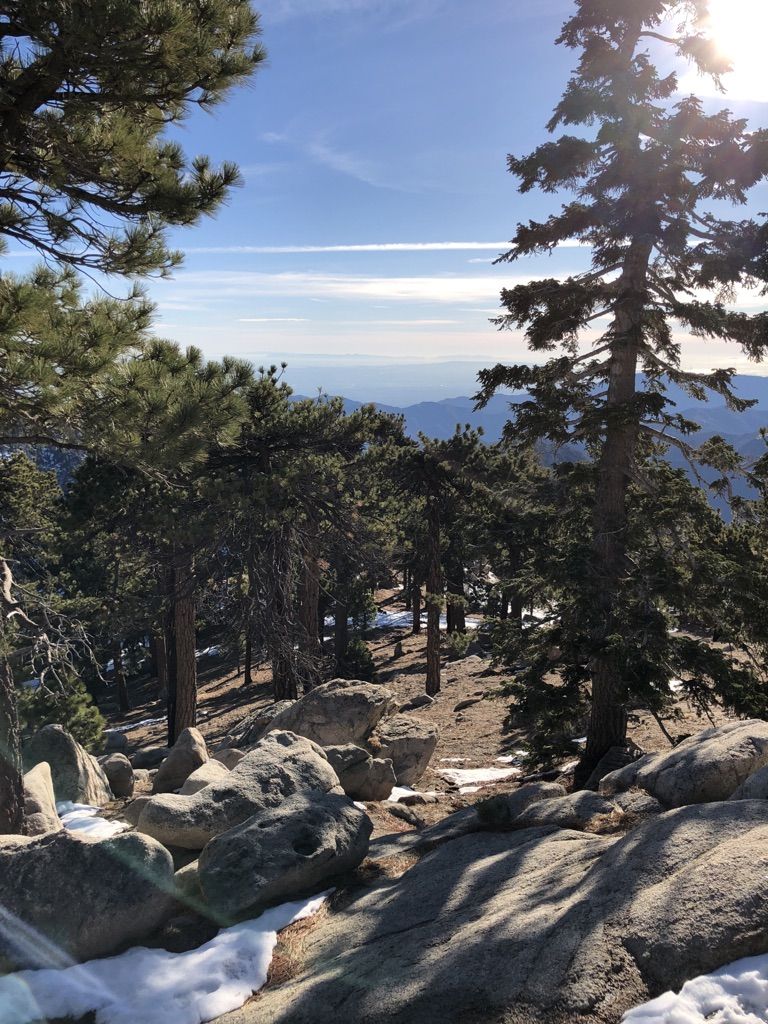 Bright sunny view through pine trees and rocks to a hazy distant landscape. - Waterman Mountain Loop Trail