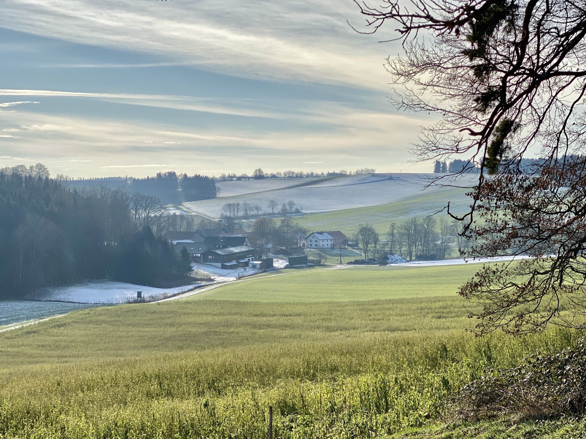 Ausblick
