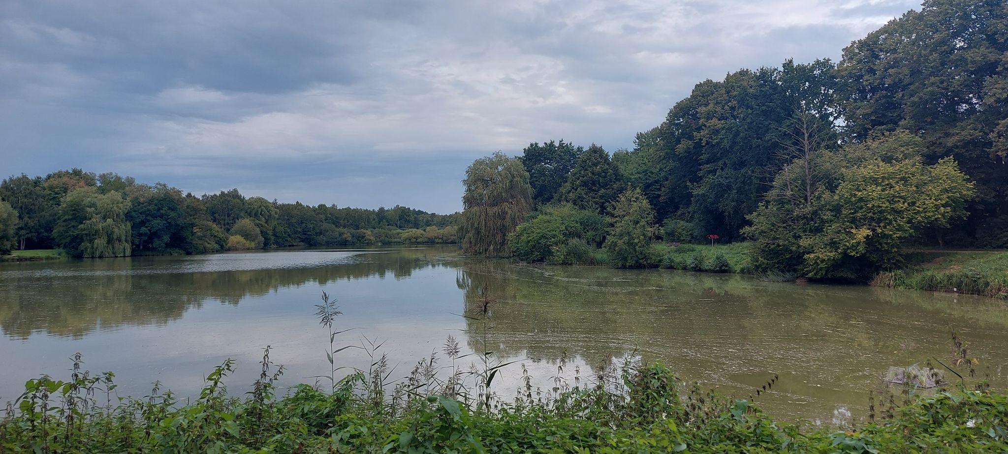 Mühlenteich Glinde