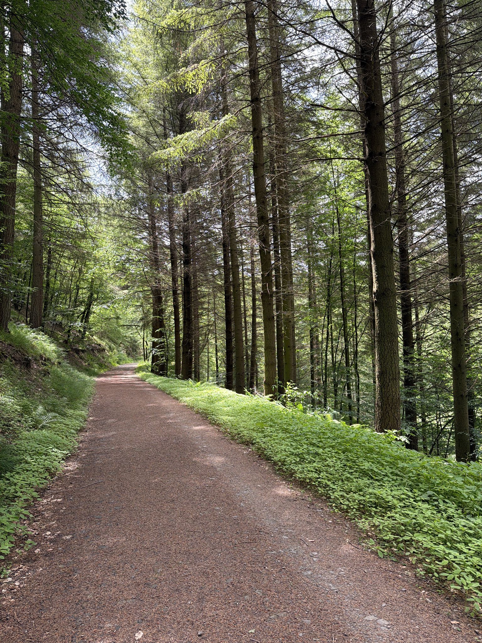 schöne Wanderwege