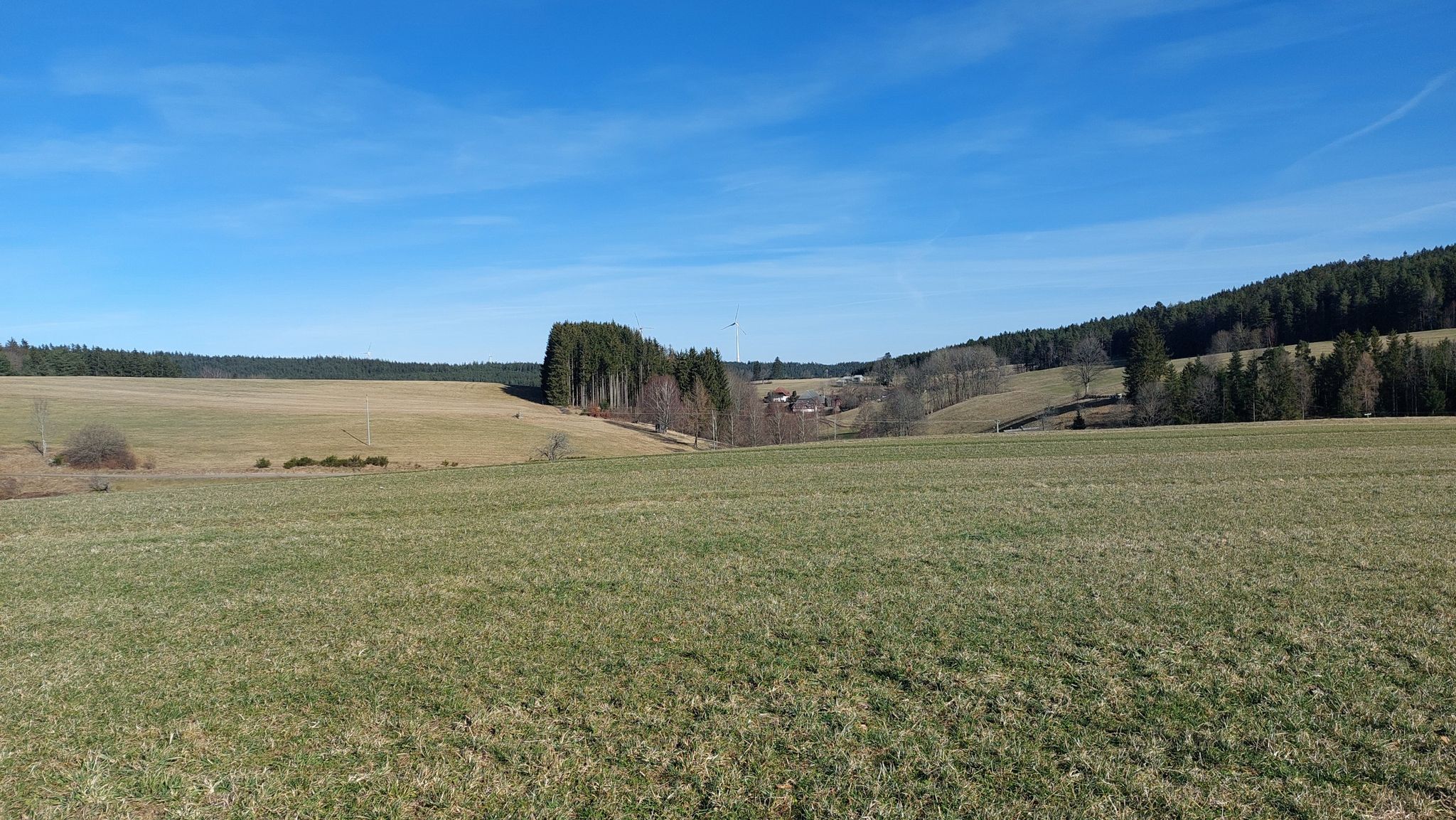Vogte