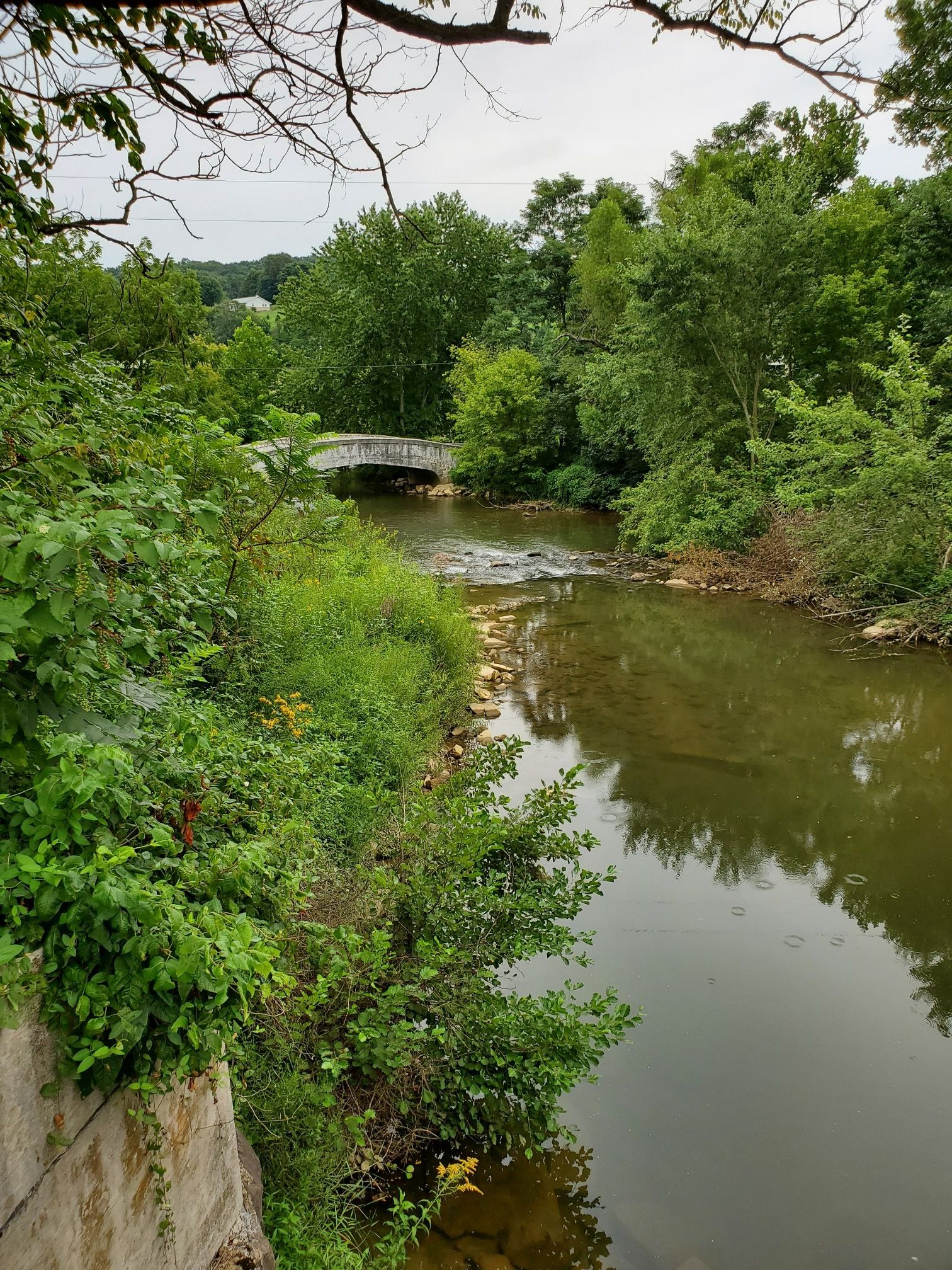 A river flowing under a stone bridge, surrounded by lush green trees. - York County Heritage Rail Trail