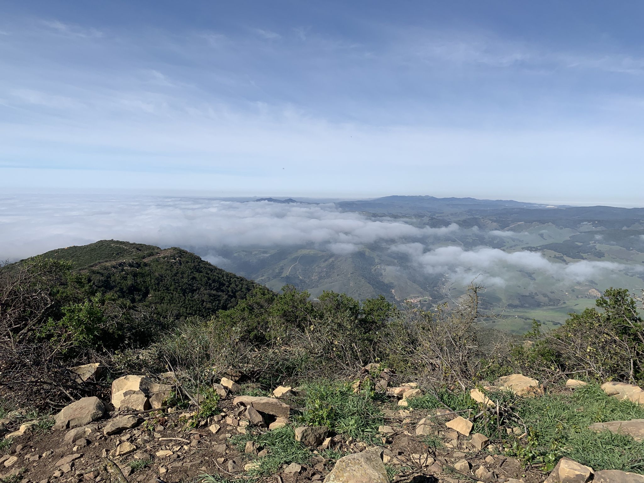 Mountain peak overlooking a vast sea of clouds under a clear sky. - Gaviota Peak & Trespass Trail – Gaviota State Park