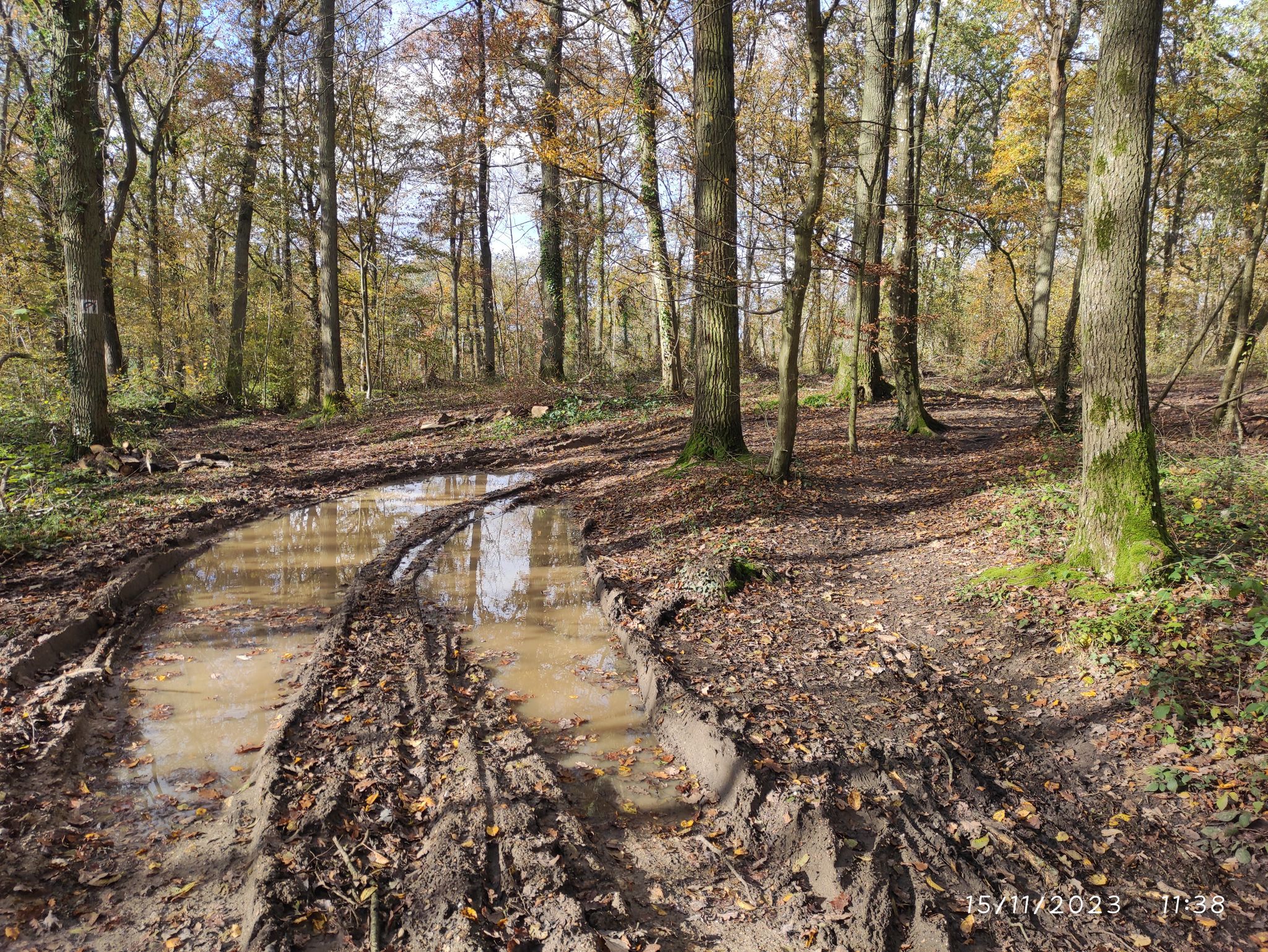 Route forestière de la Garenne défoncée par le débardage