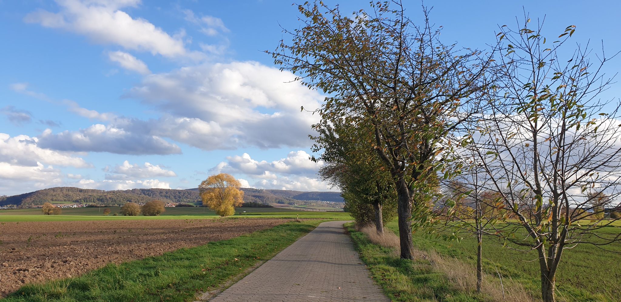 Blick ins Leinetal bei Bovenden am Nachmittag.
