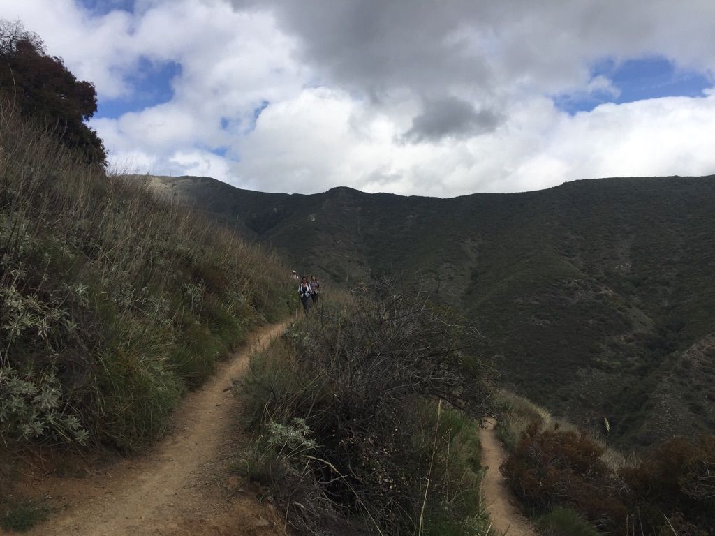 Mountain biker on a winding dirt trail on a steep, green hillside. - Santiago Peak via Holy Jim Trail