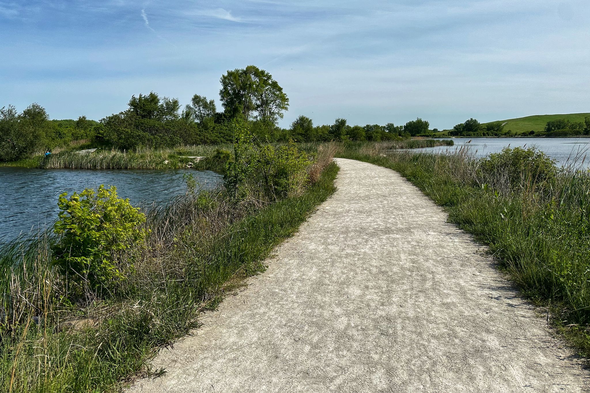 Winding gravel path alongside a calm lake, bordered by green grass and trees. - Mallard Lake Loop