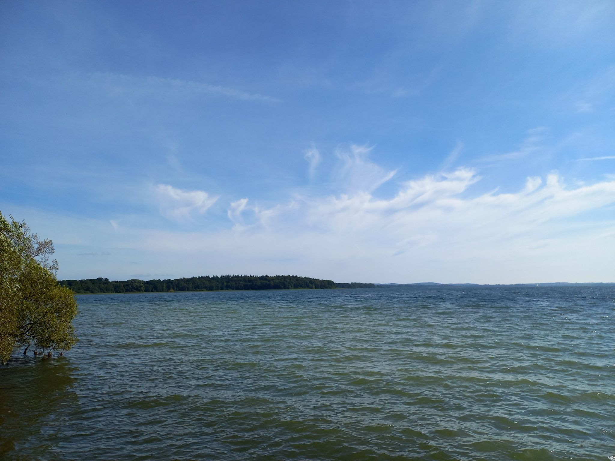 am Selenter See. Kühler Wind heute