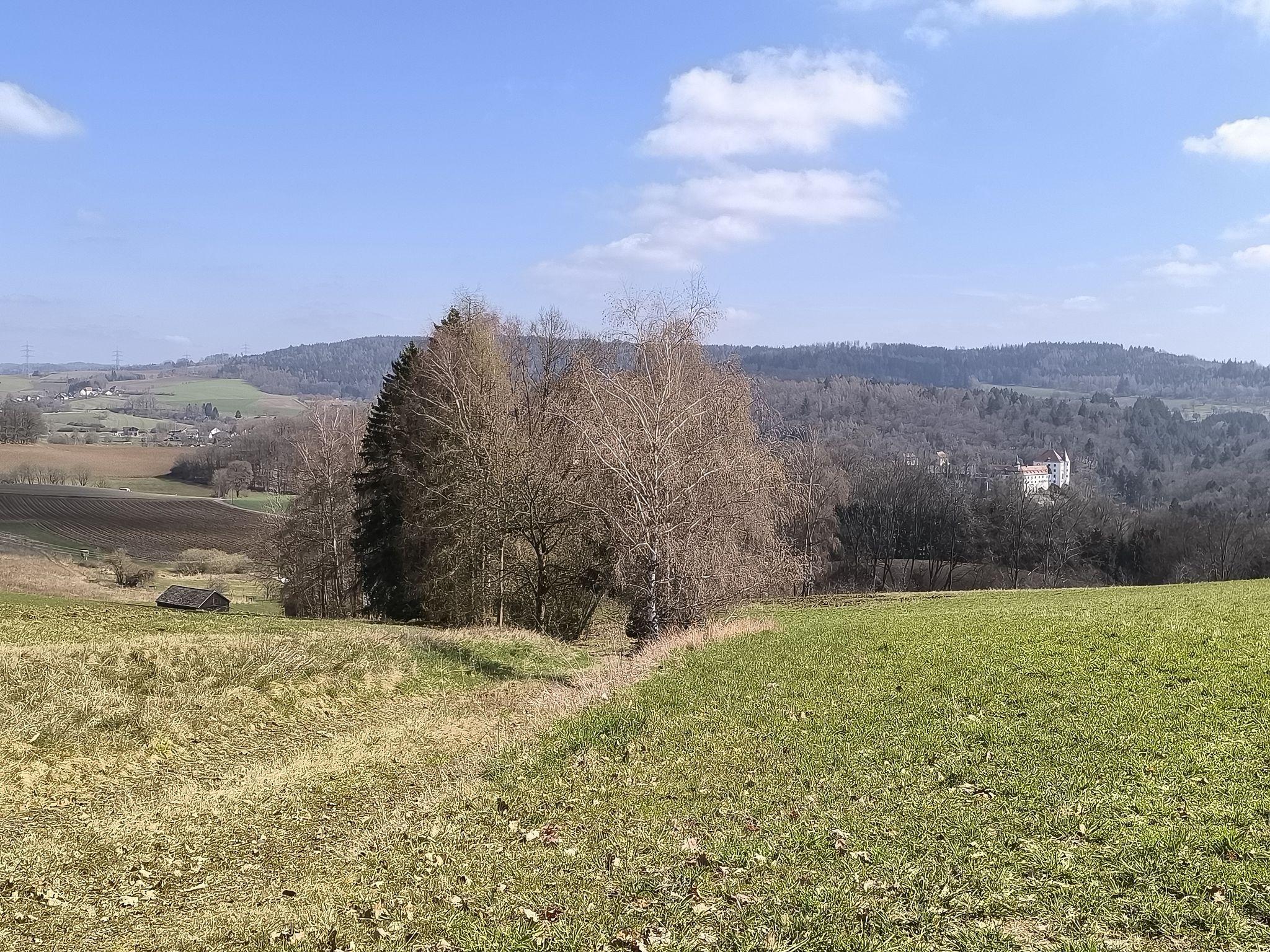 Blick auf Guttenberg