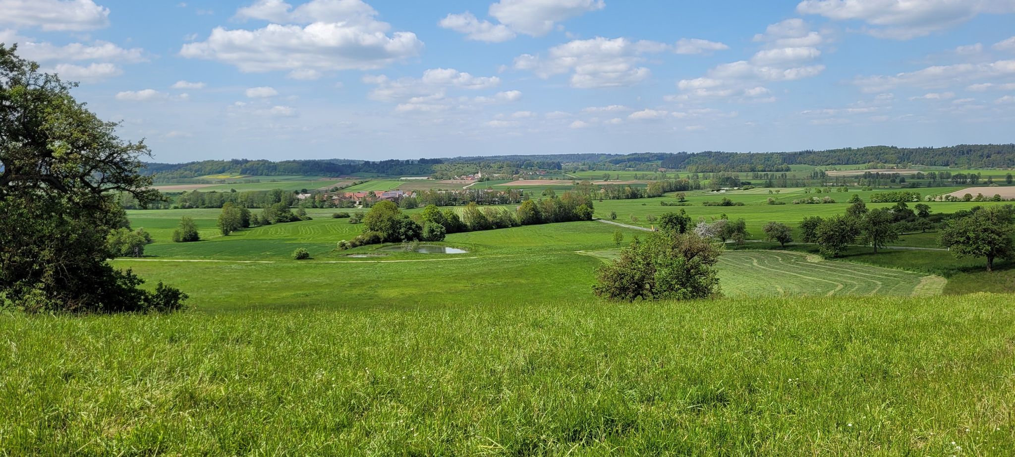Blick zurück Gastenfelden