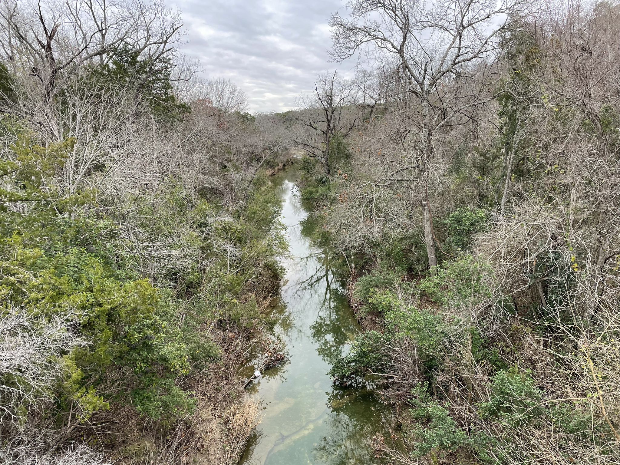 A narrow river flowing through a forest with bare and green trees under an overcast sky. - Walnut Creek Metro Park MTB Loop