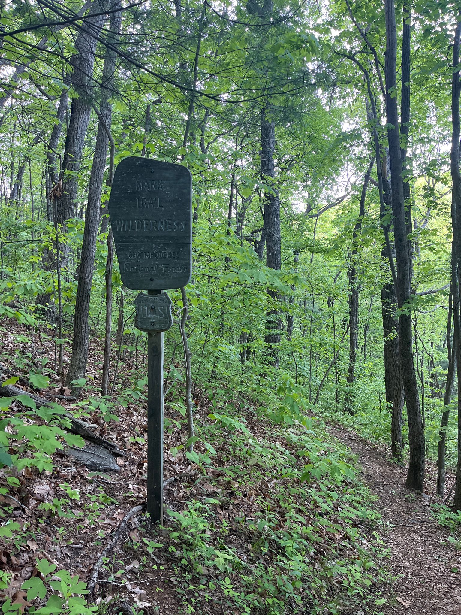 A wooden sign stands beside a dirt path in a lush, green forest. - Jacks Knob Trail to Brookshire Top