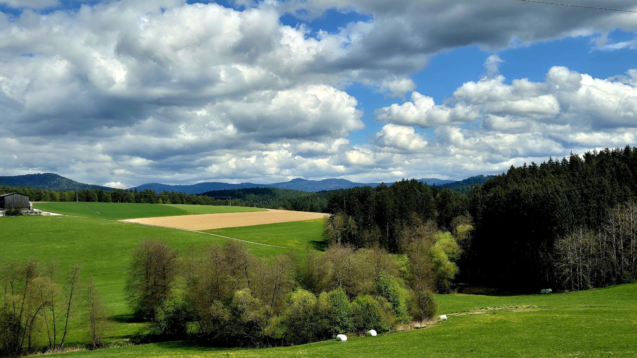 Arberblick