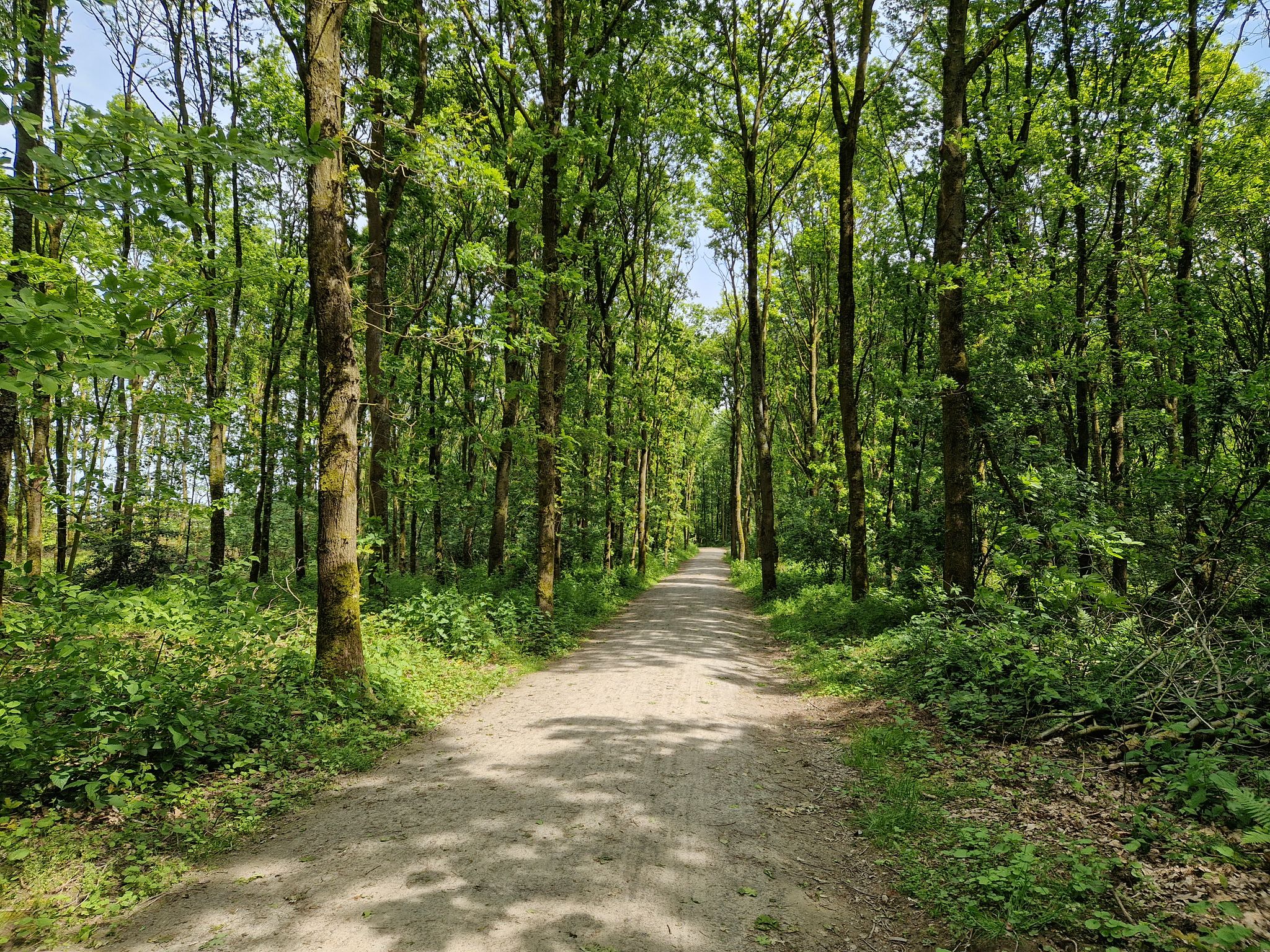 Op de gravel door het domein De Gavers