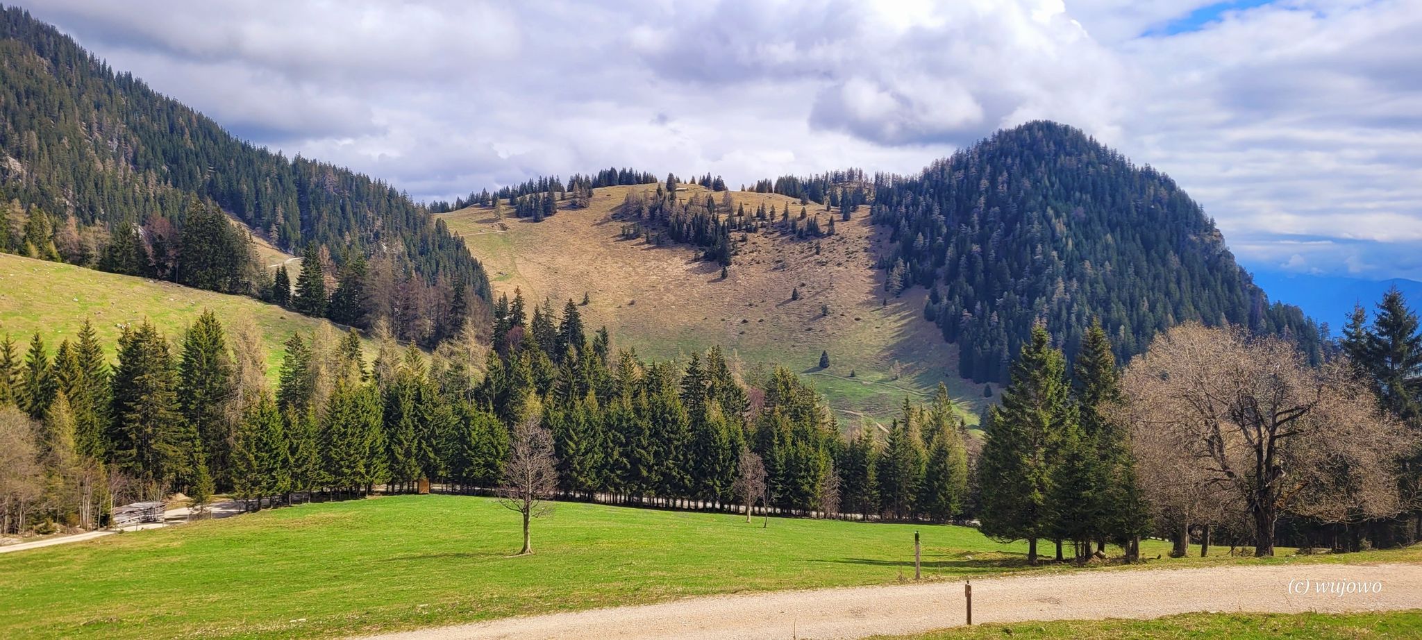Blick zur Pletzachalm.
