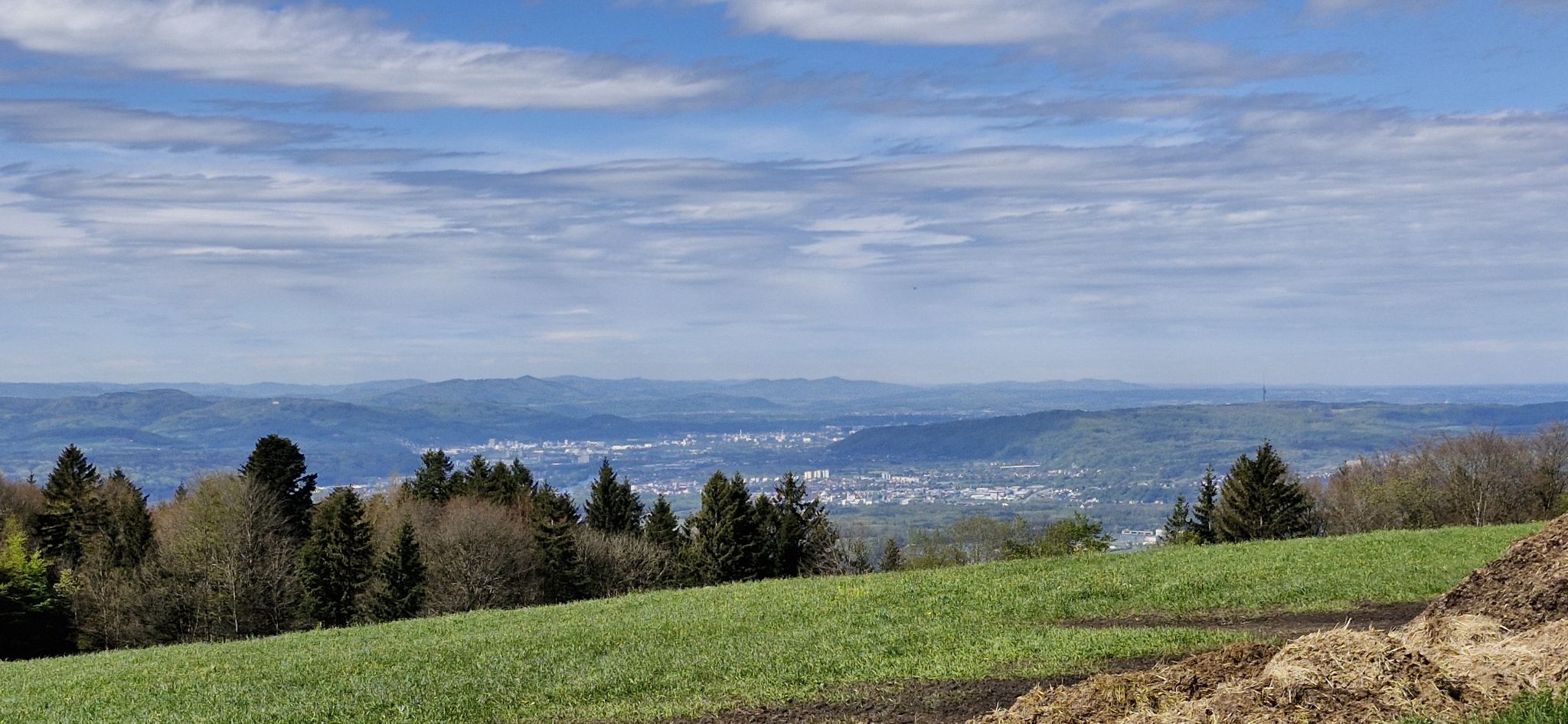 Blick auf Rheinfelden