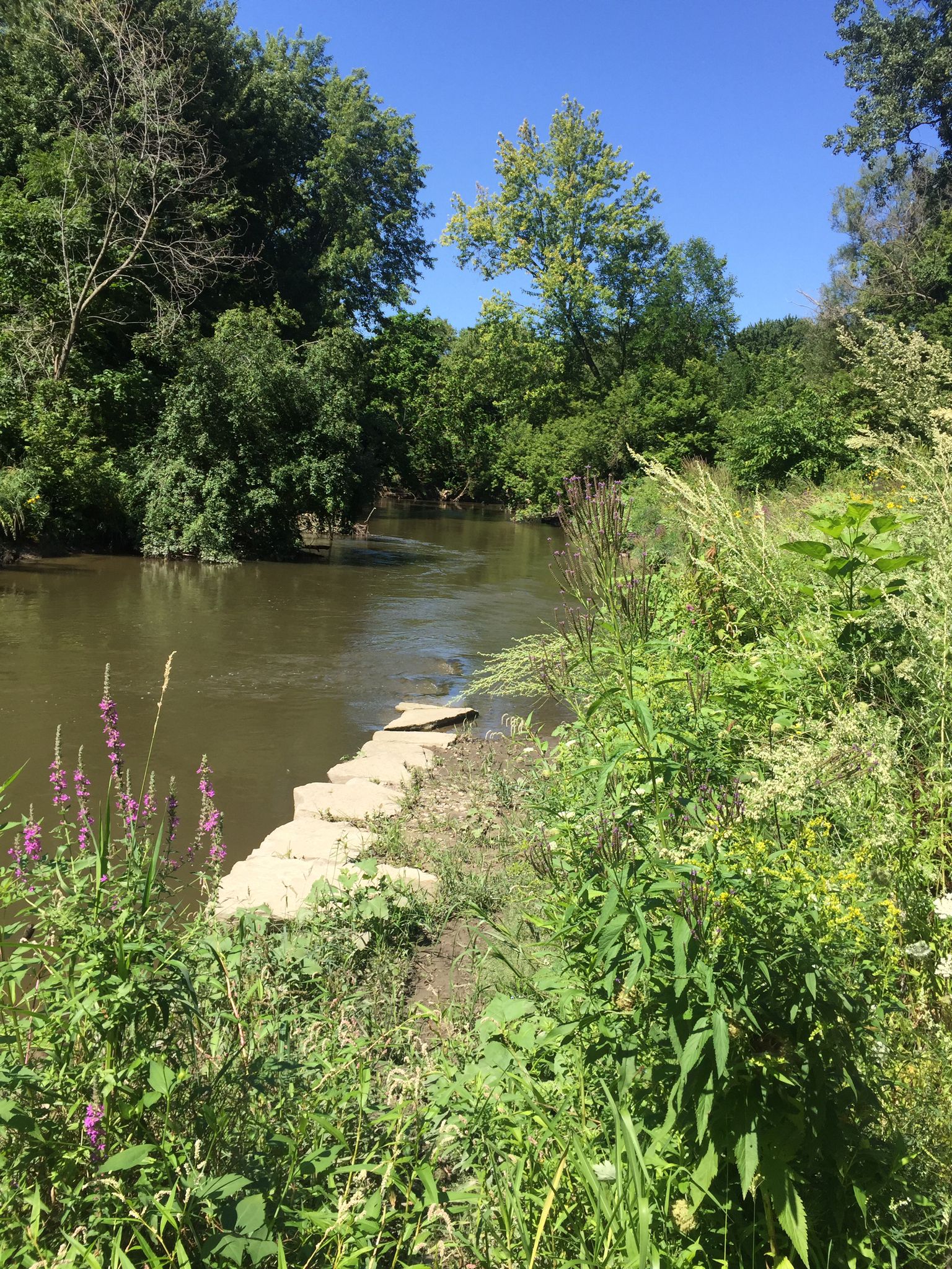 A winding river with lush green banks under a bright blue sky. - Clinton River Trail – Clinton River Bridge loop from Utica High School