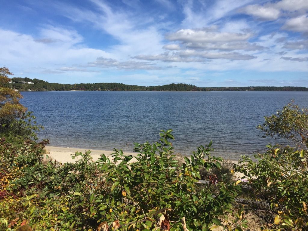 Calm lake with sandy shore and green bushes under a partly cloudy sky. - Cape Cod Rail Trail